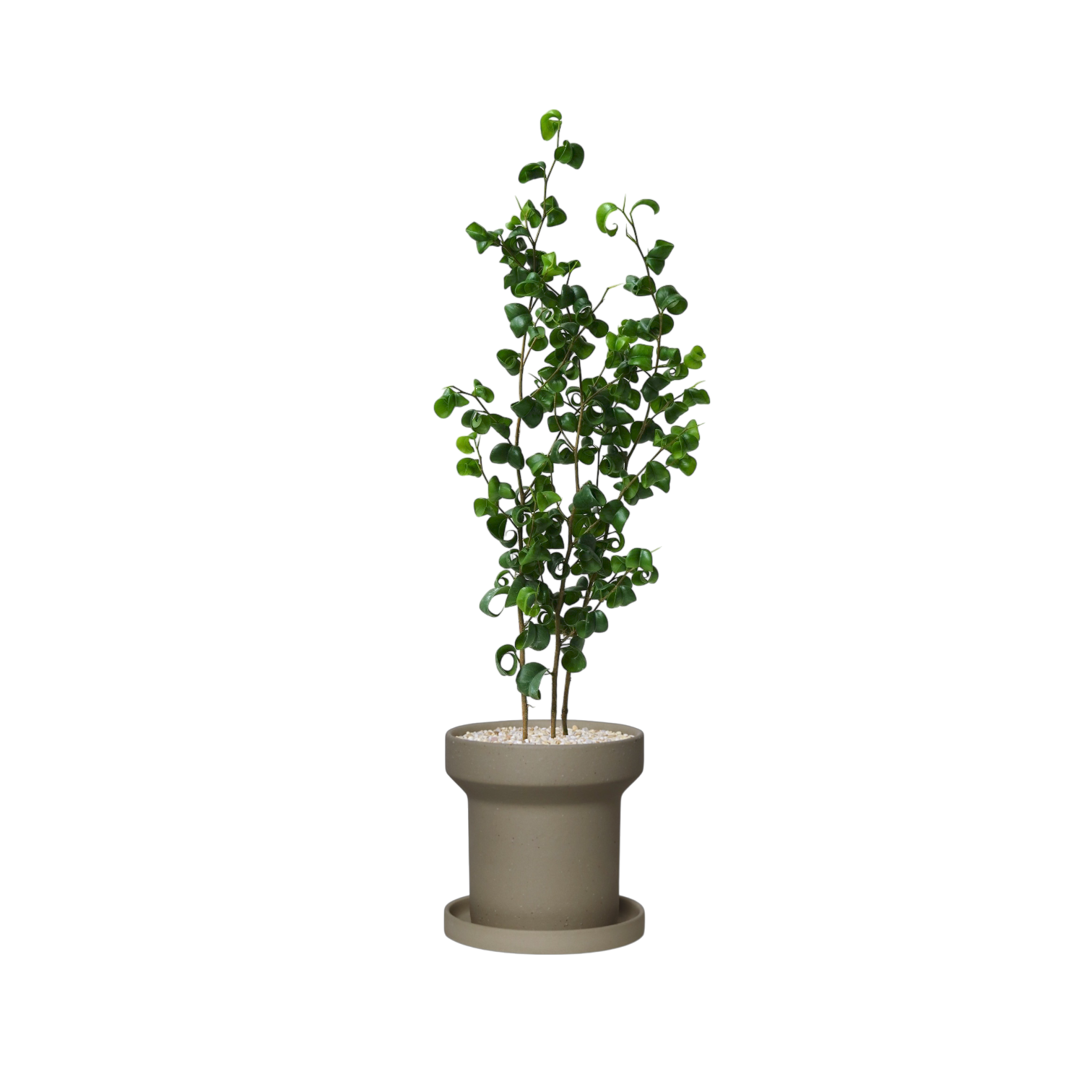ZIMMU T-Shaped Ceramic Pot