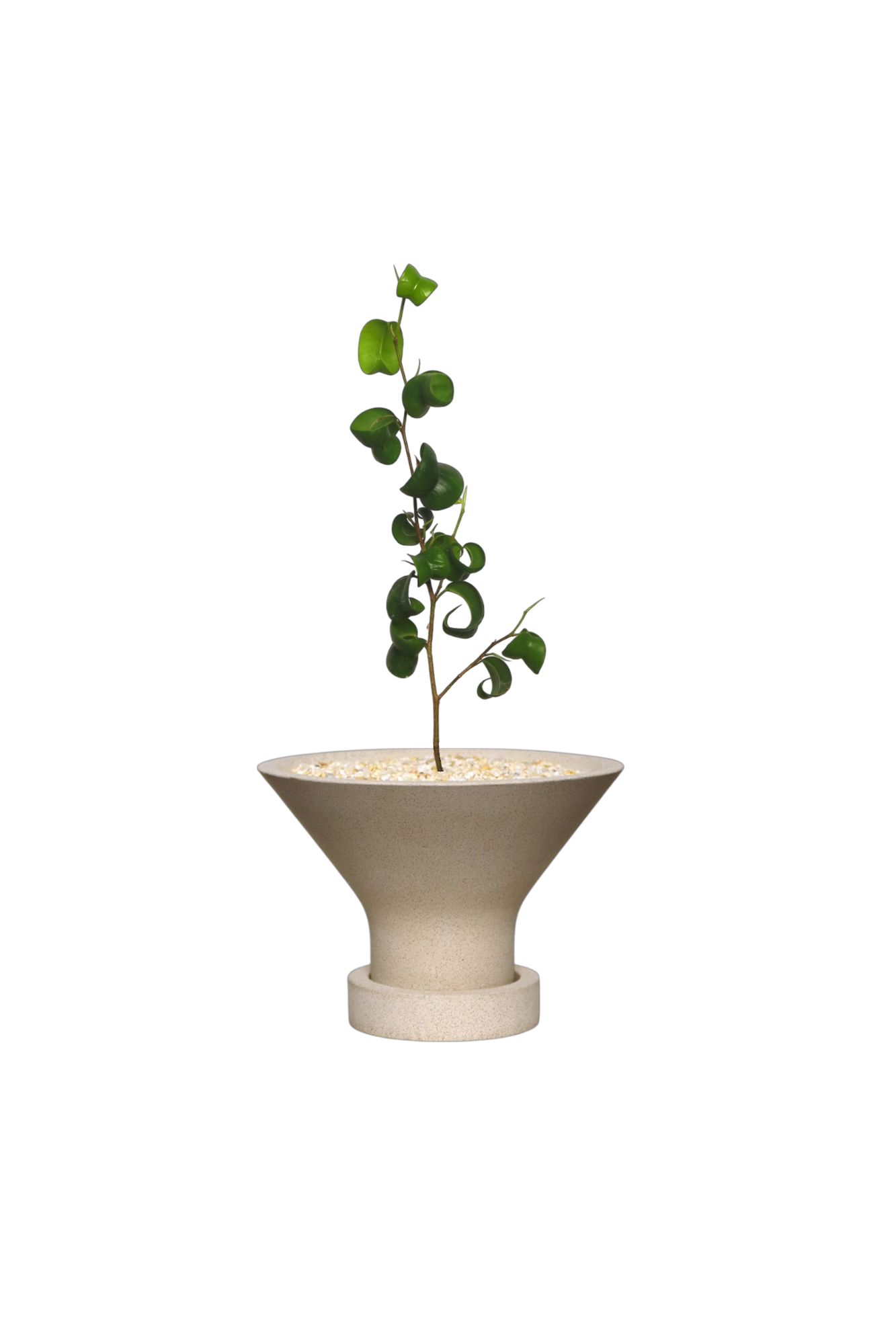 ENKEL Funnel-Shaped Terrazzo Pot with Flat Saucer