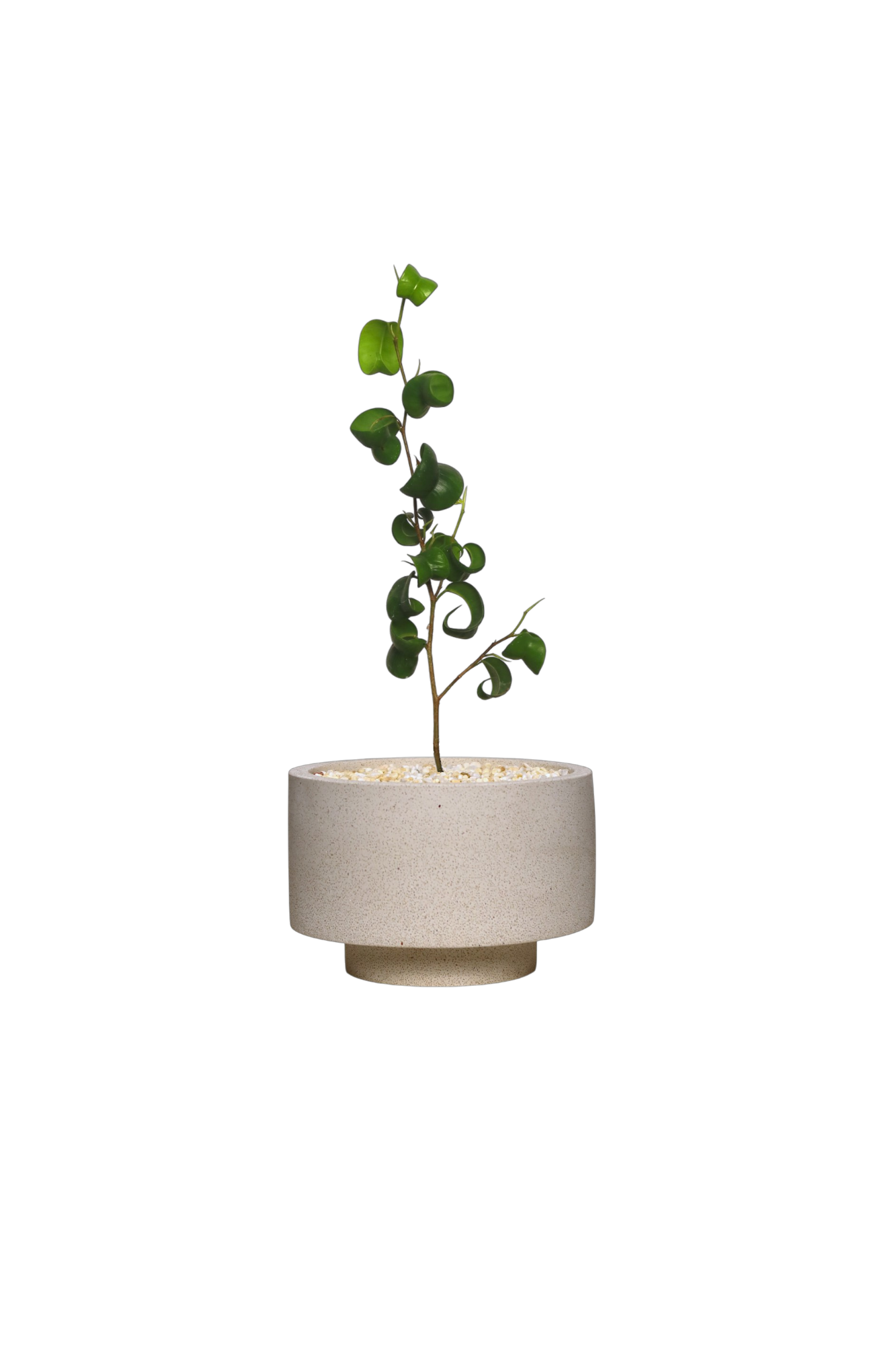 ENKEL Rectangular-Shaped Terrazzo Pot with Flat Saucer