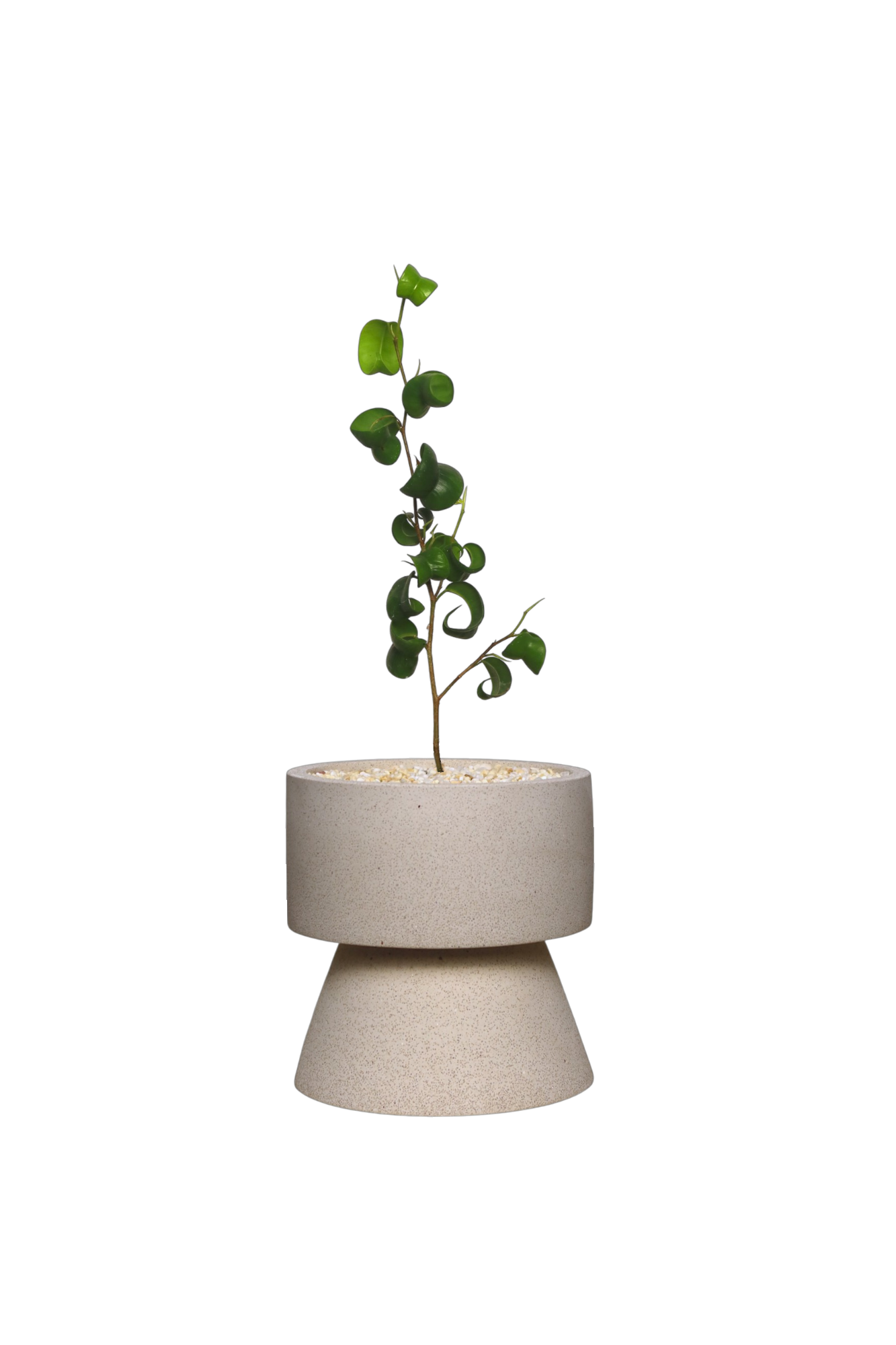 ENKEL Rectangular-Shaped Terrazzo Pot with Trapezium Saucer