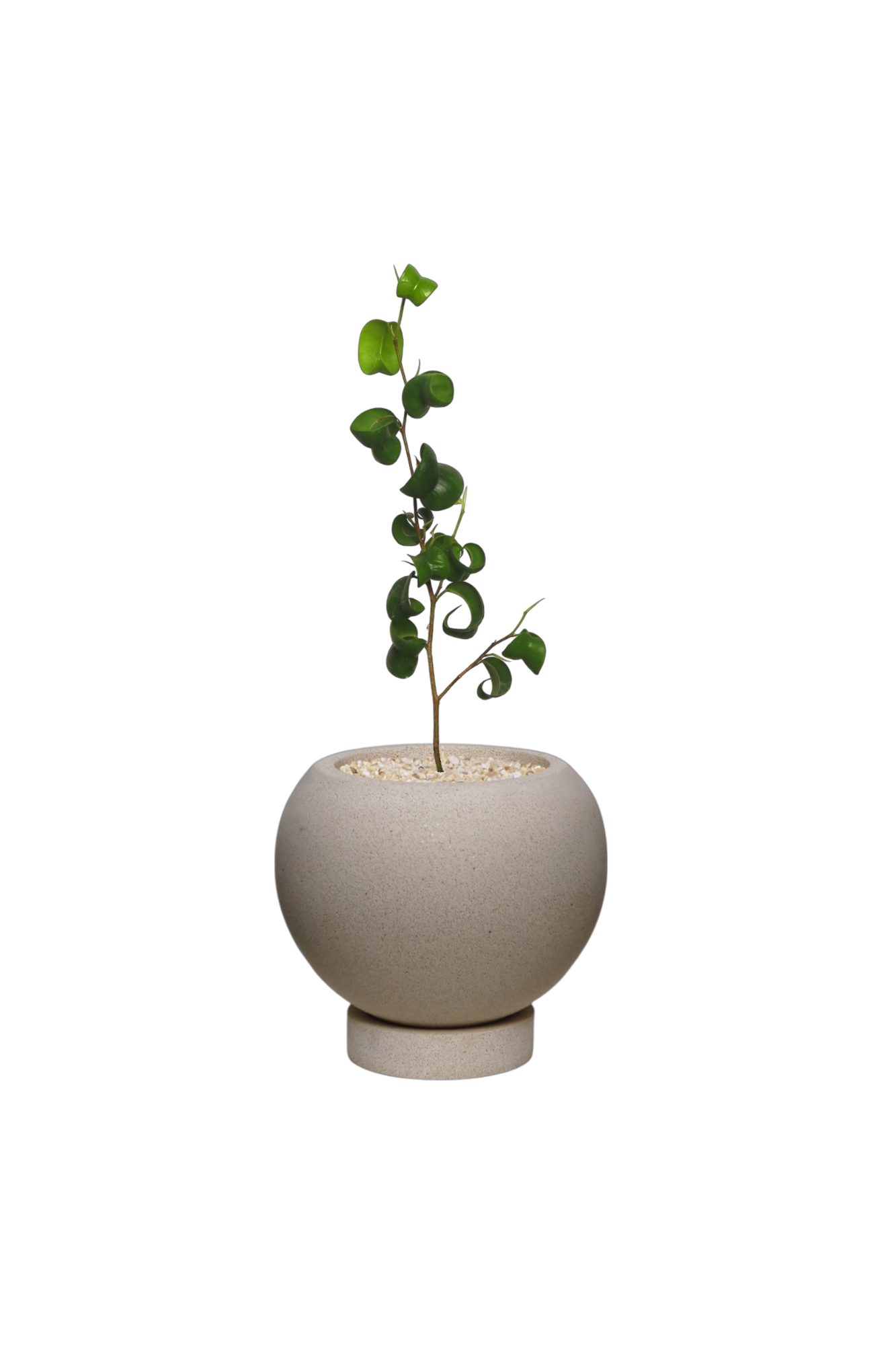 ENKEL Sphere-Shaped Terrazzo Pot with Flat Saucer