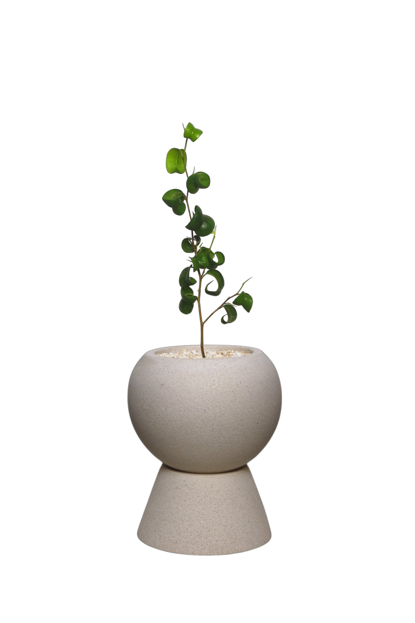 ENKEL Sphere-Shaped Terrazzo Pot with Trapezium Saucer
