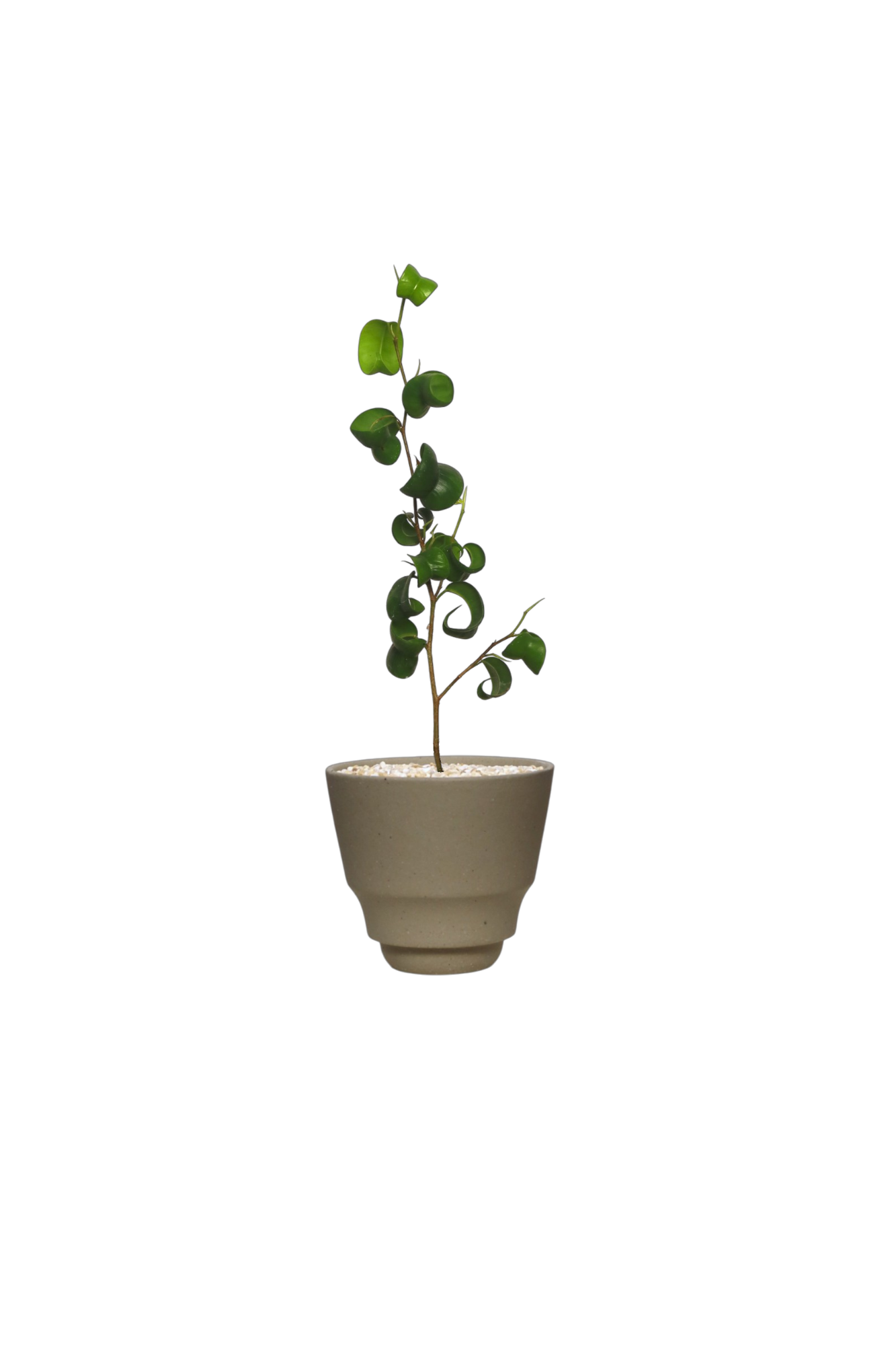 ZIMMU V-Shaped Ceramic Pot