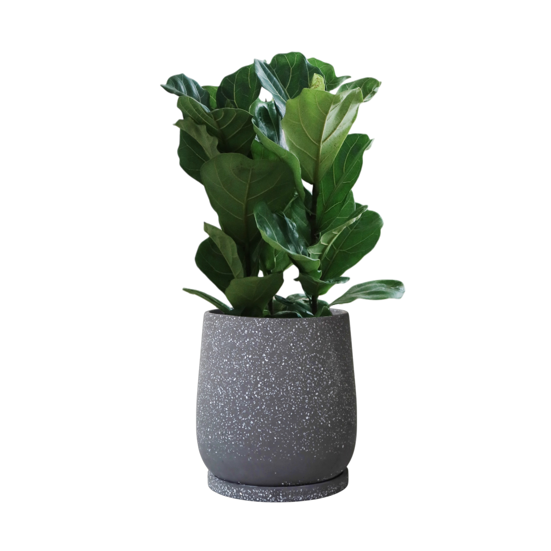 ENKEL Egg-Shaped Terrazzo Pot W28cm (Grey)