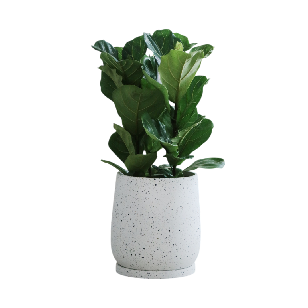 ENKEL Egg-Shaped Terrazzo Pot W28cm (White)