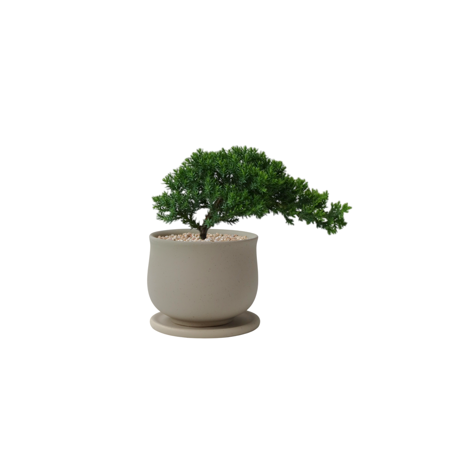ASKEL Teacup-shaped Ceramic Pot