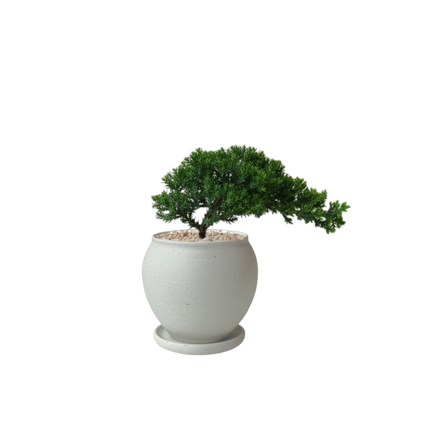 BRRUTO Jar Ceramic Pot