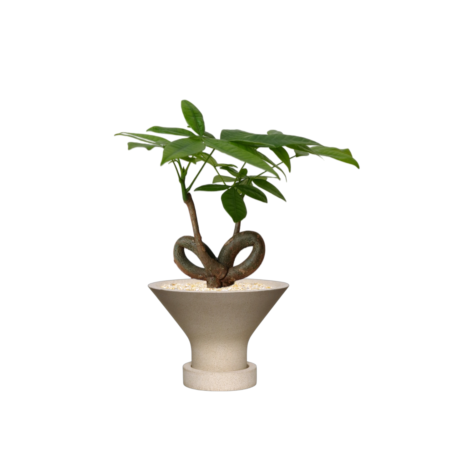 ENKEL Funnel-Shaped Terrazzo Pot with Flat Saucer W15.5cm (Off-white)