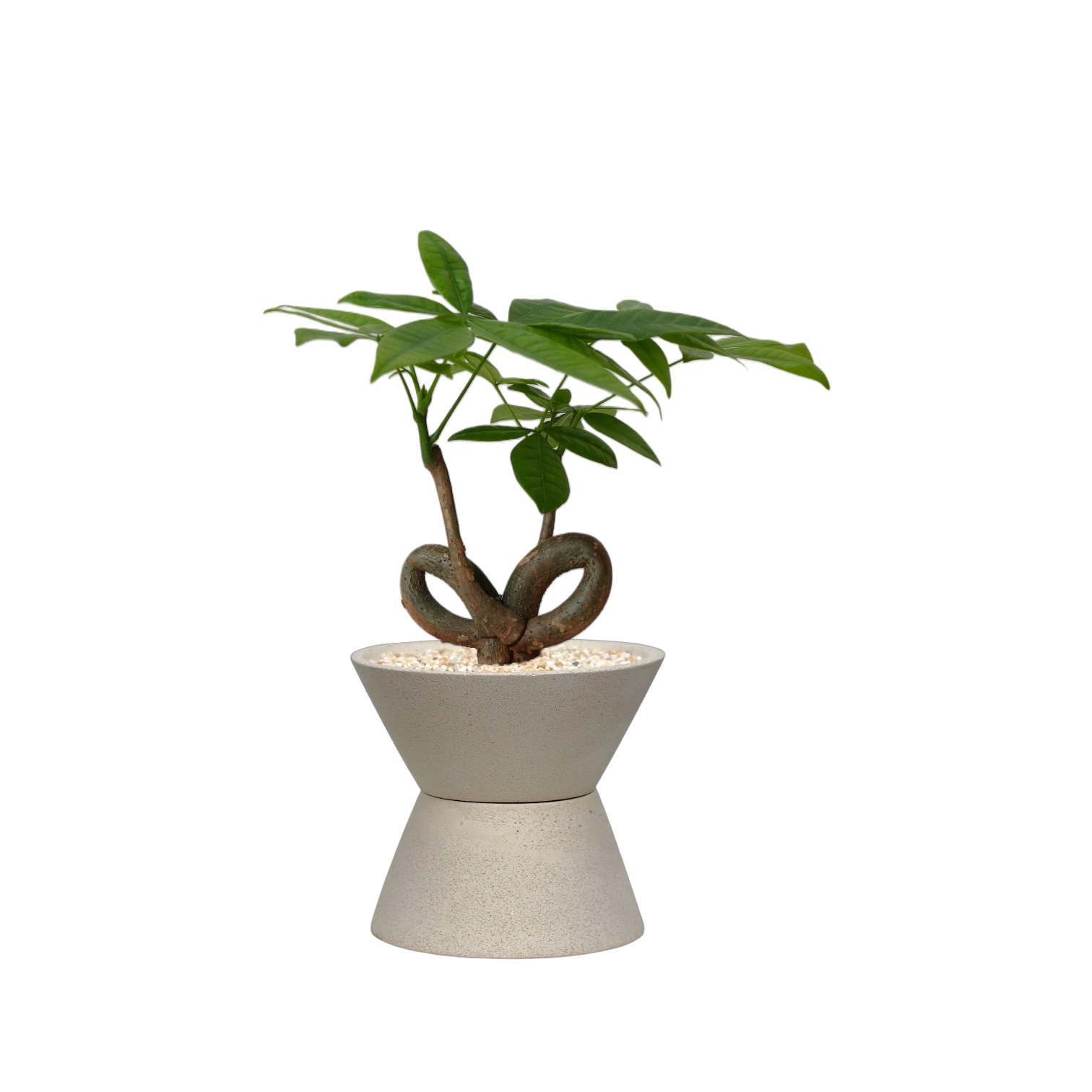 ENKEL V-Shaped Terrazzo Pot with Trapezium Saucer W14cm (Off-white)