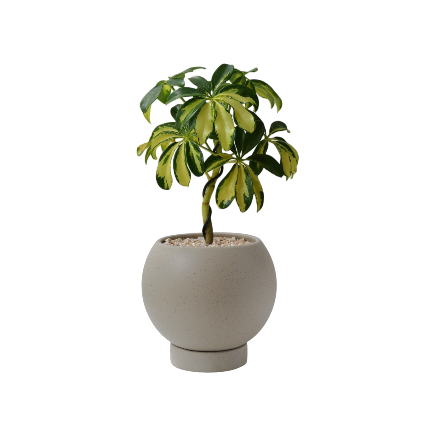 ASKEL Sphere-shaped Ceramic Pot