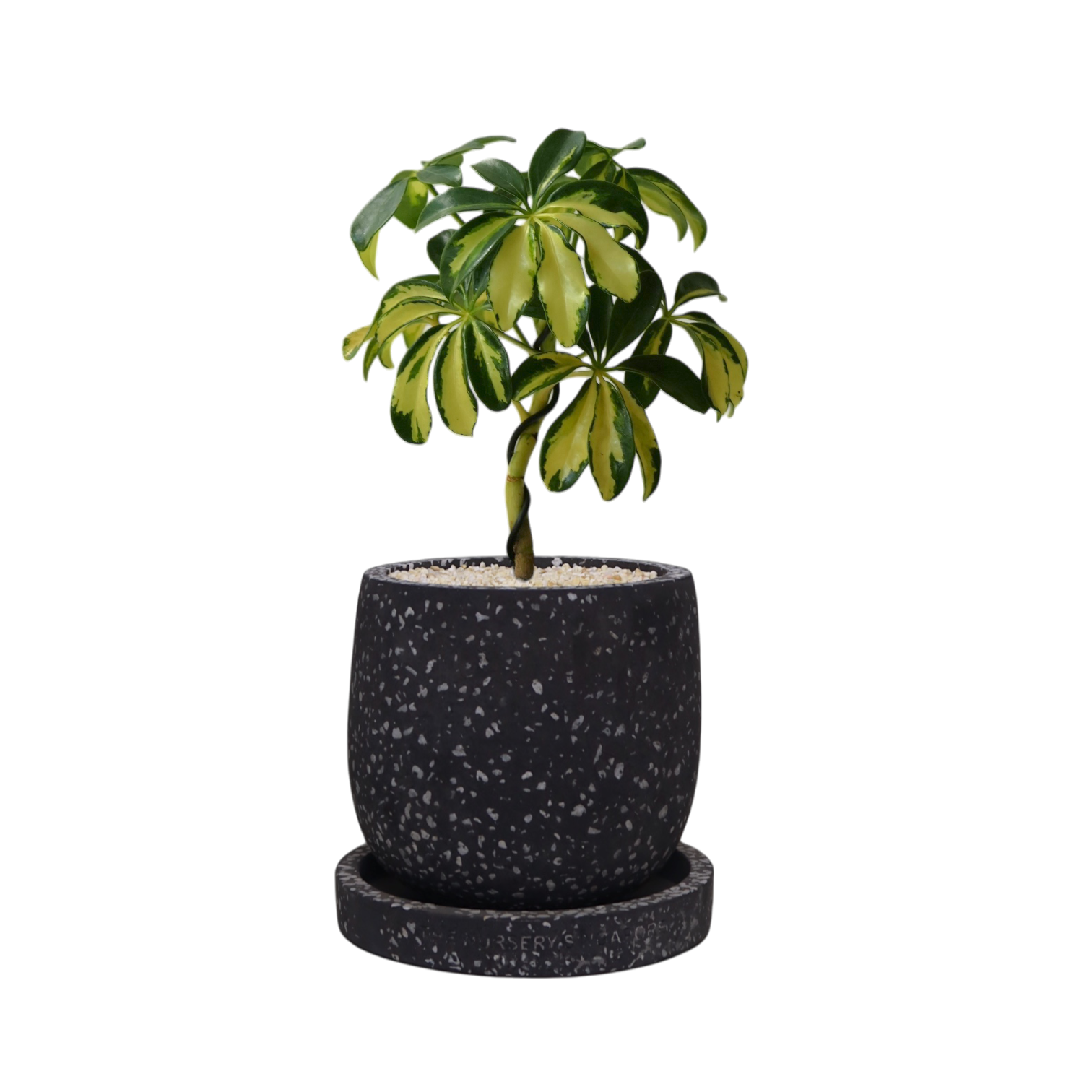 ENKEL Egg-Shaped Terrazzo Pot W14cm (Grey)