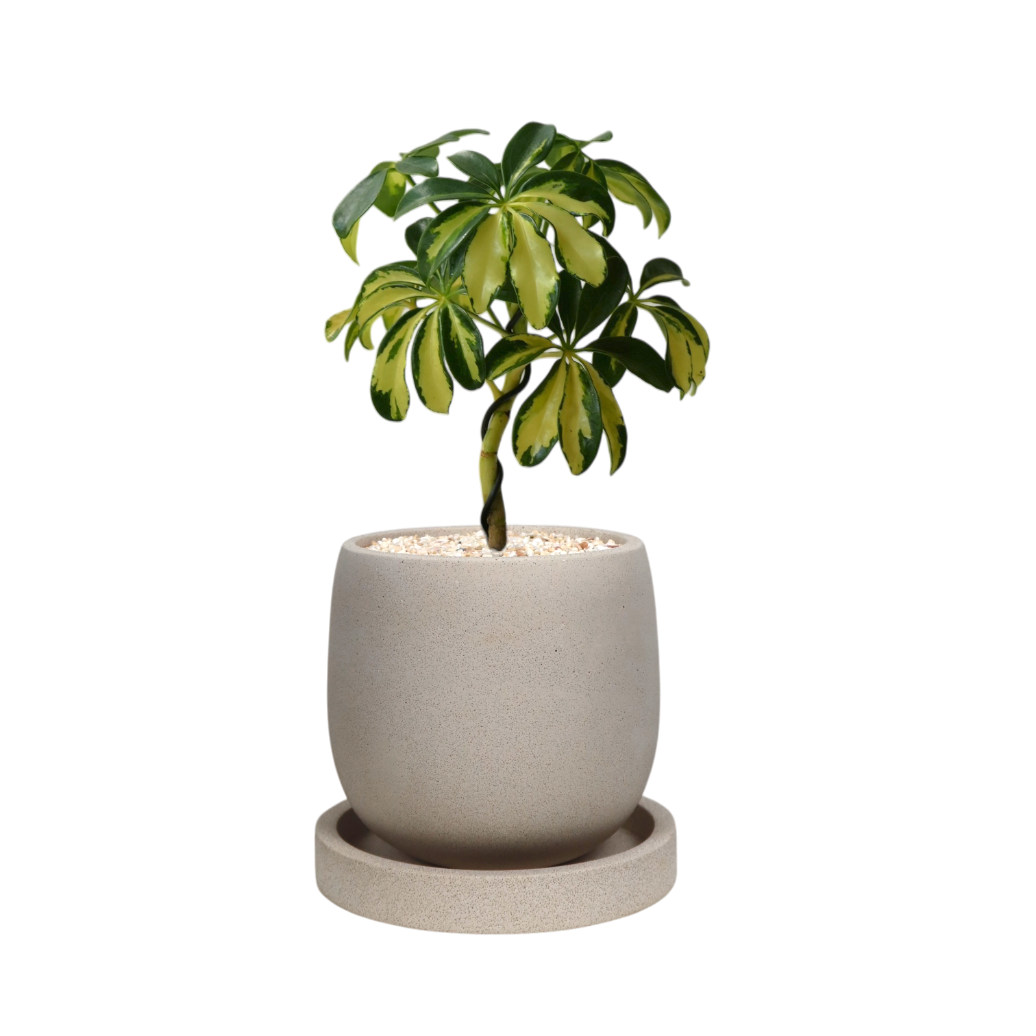 ENKEL Egg-Shaped Terrazzo Pot W14cm (Off-white)