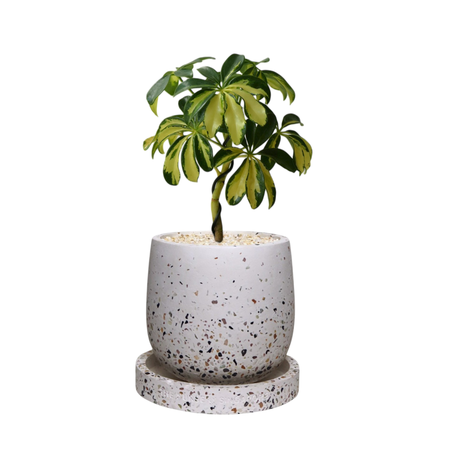 ENKEL Egg-Shaped Terrazzo Pot W14cm (White)