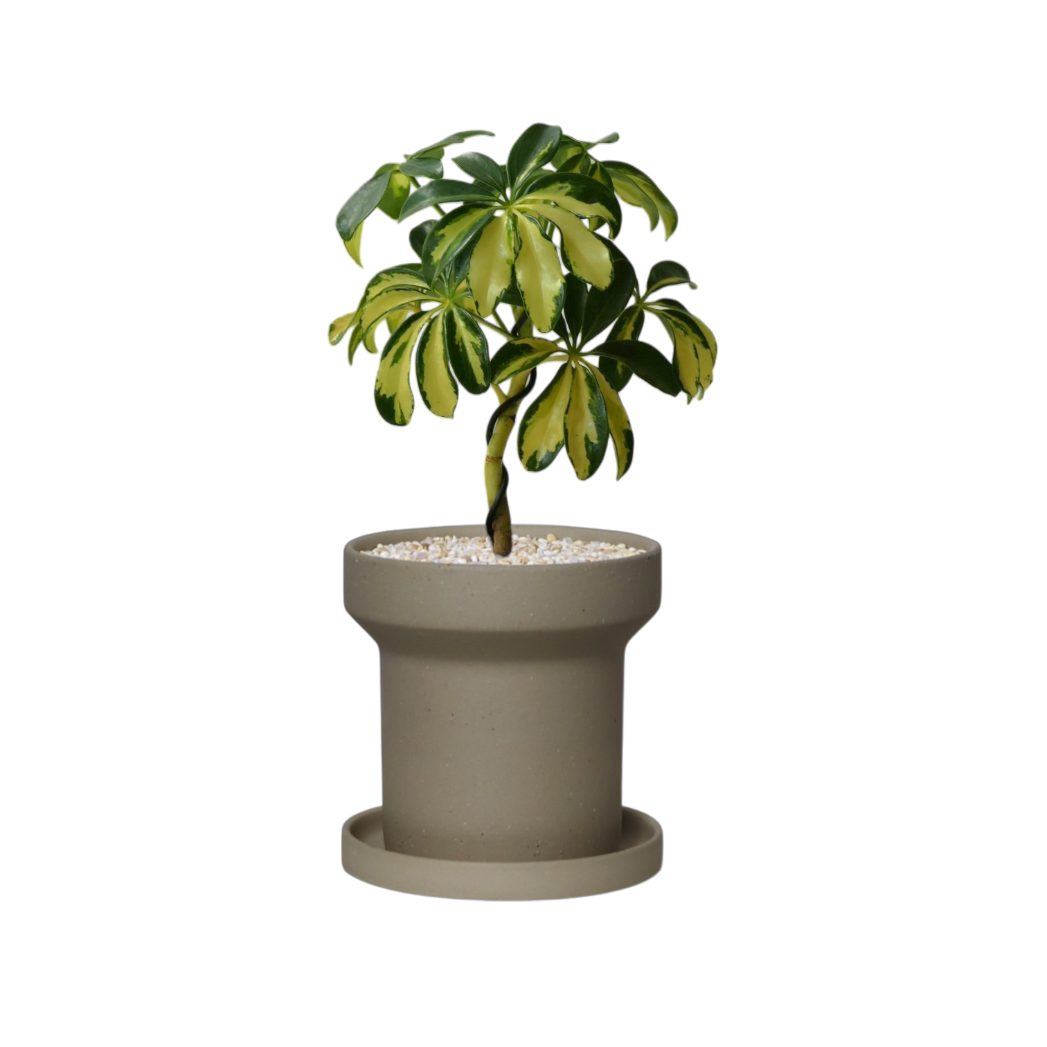 ZIMMU T-Shaped Ceramic Pot