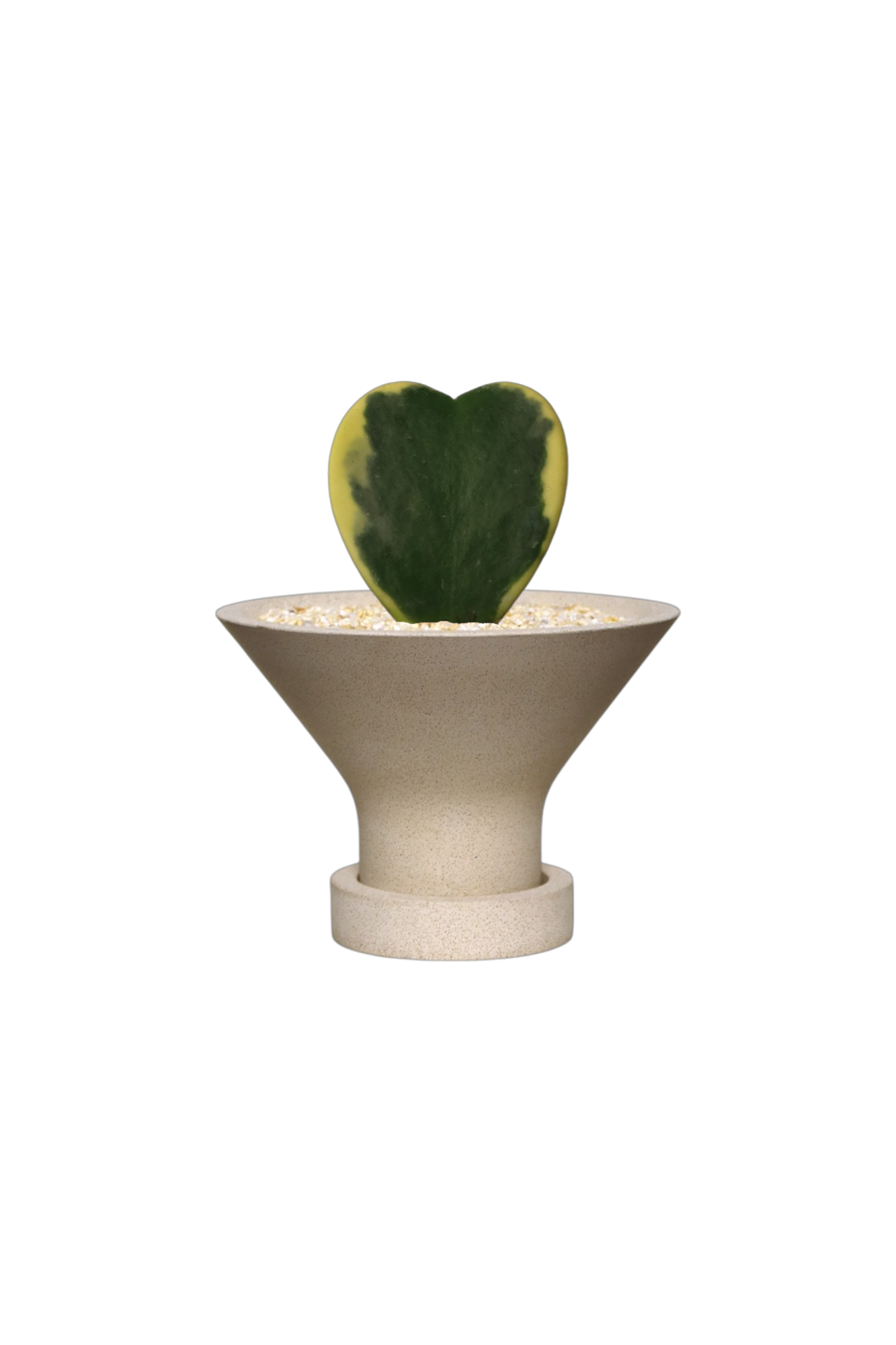 ENKEL Funnel-Shaped Terrazzo Pot with Flat Saucer