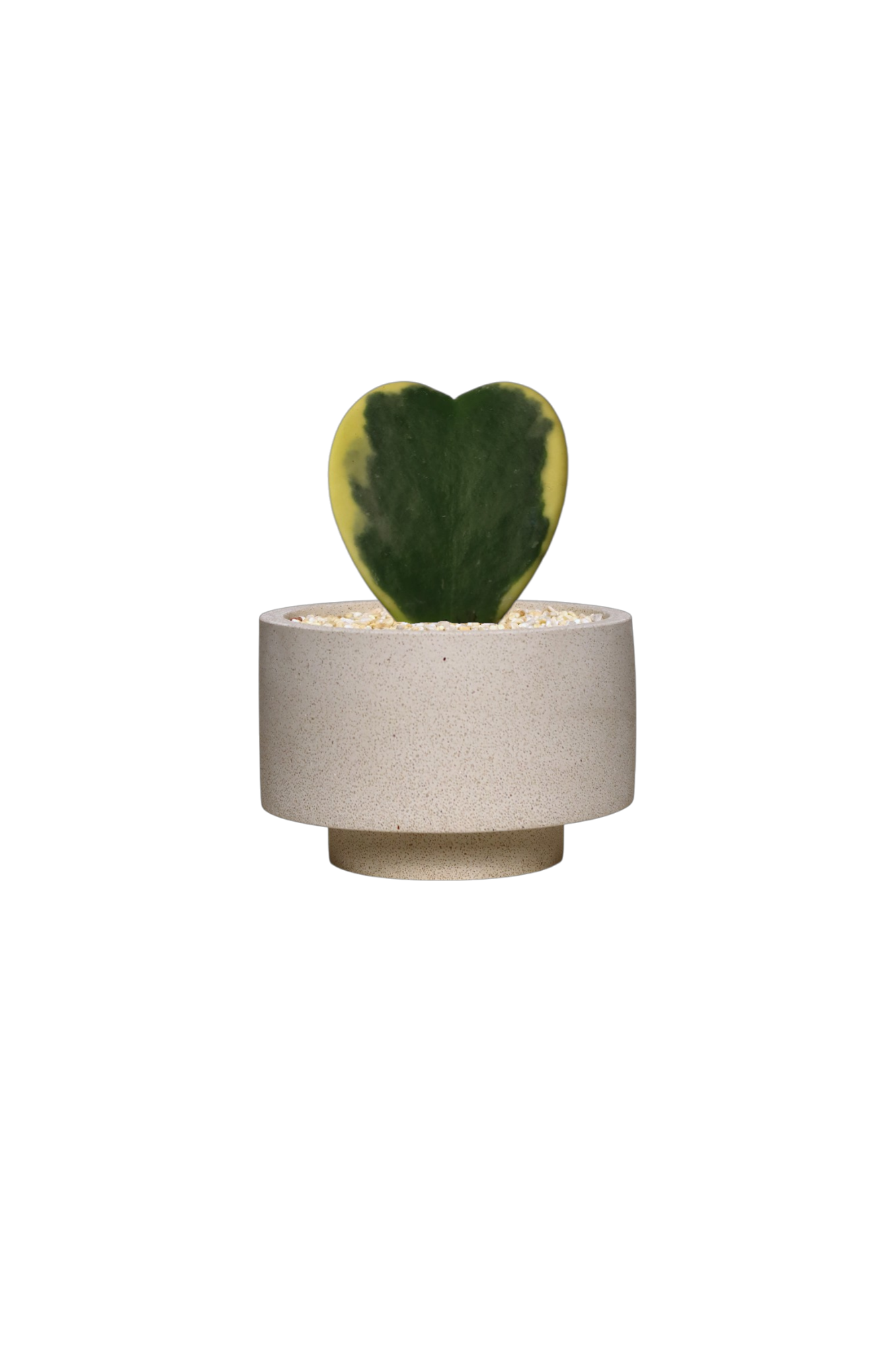 ENKEL Rectangular-Shaped Terrazzo Pot with Flat Saucer