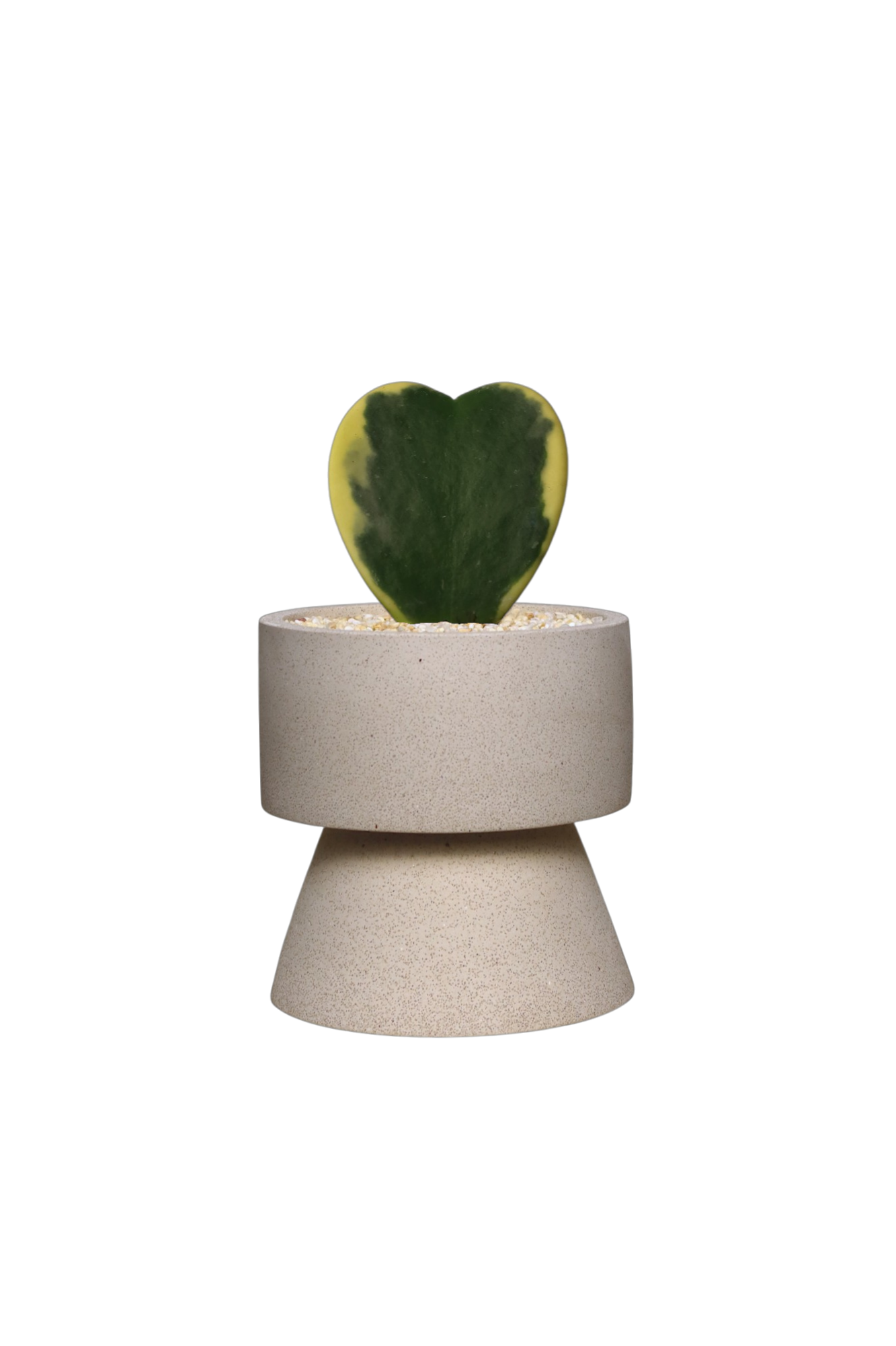 ENKEL Rectangular-Shaped Terrazzo Pot with Trapezium Saucer