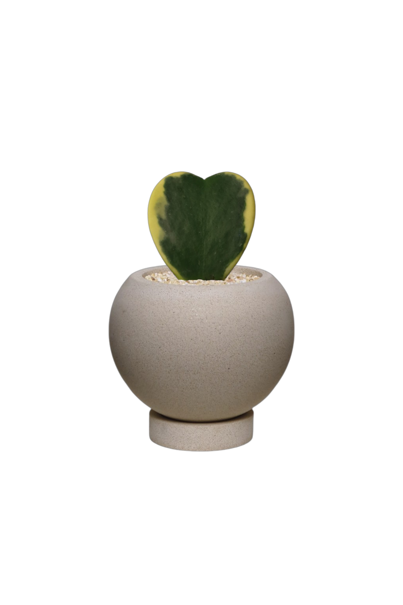 ENKEL Sphere-Shaped Terrazzo Pot with Flat Saucer