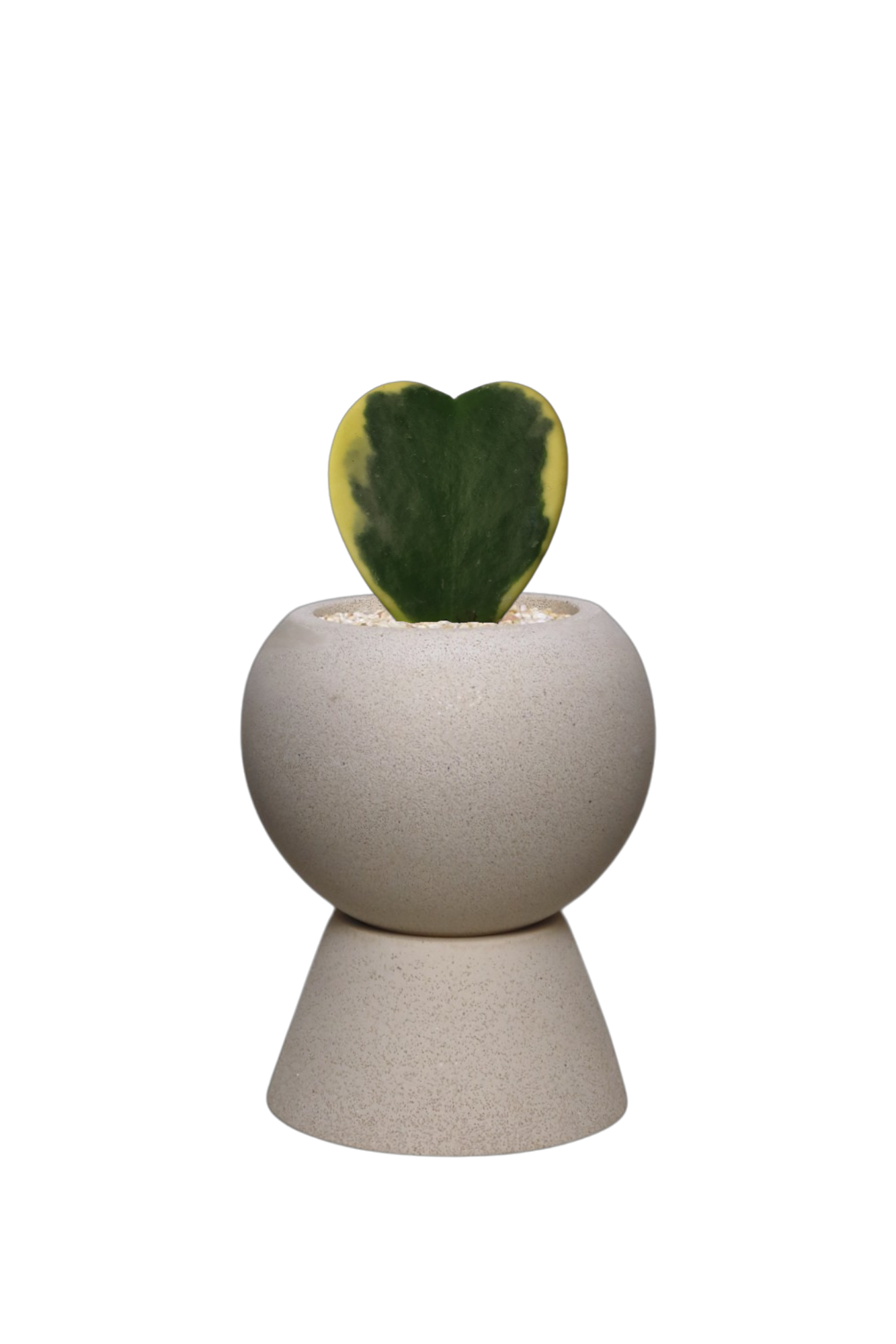 ENKEL Sphere-Shaped Terrazzo Pot with Trapezium Saucer
