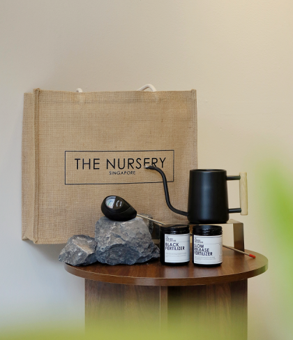 The Nursery Planter Basic Gift Bag (Worth $83)