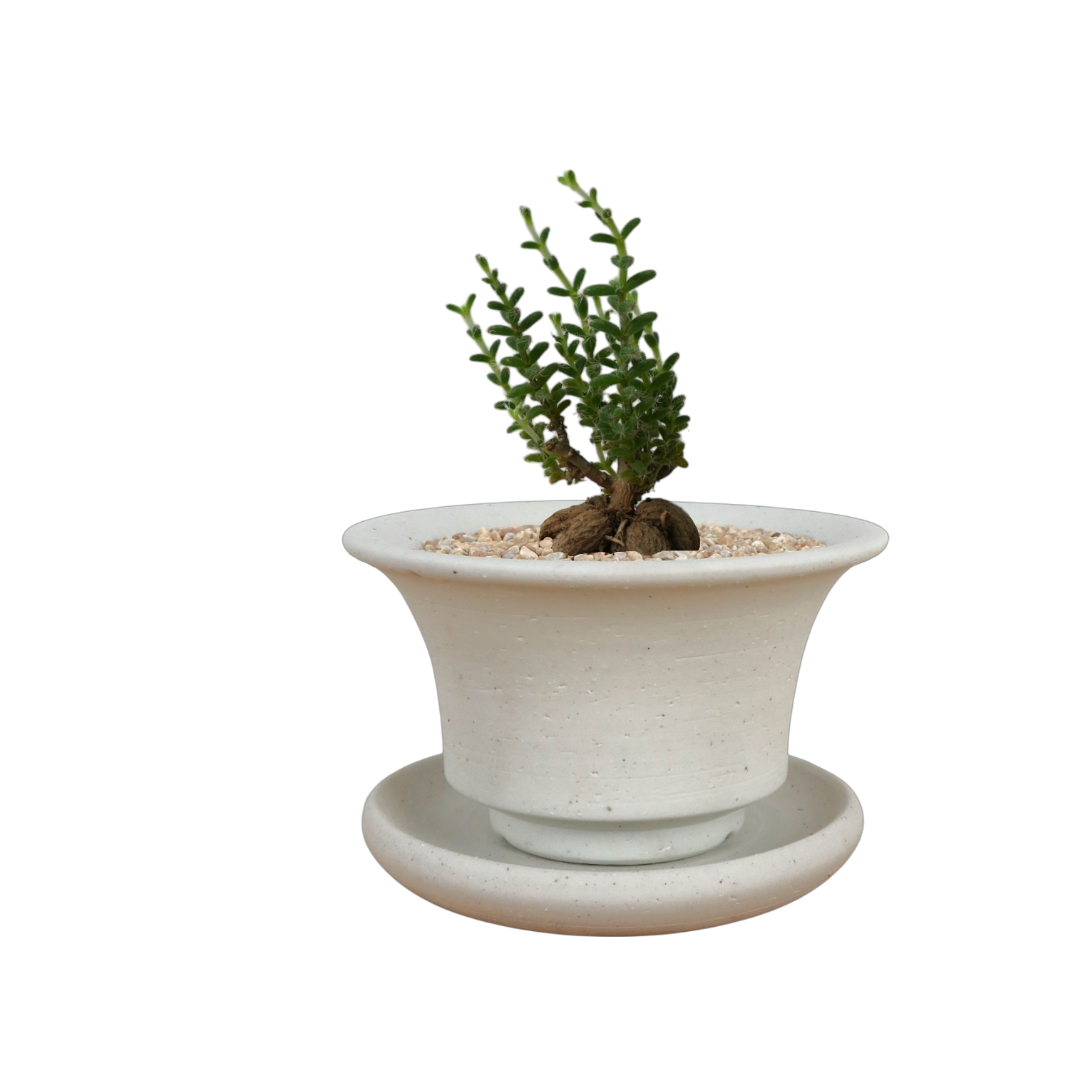 BRRUTO Curve Ceramic Pot