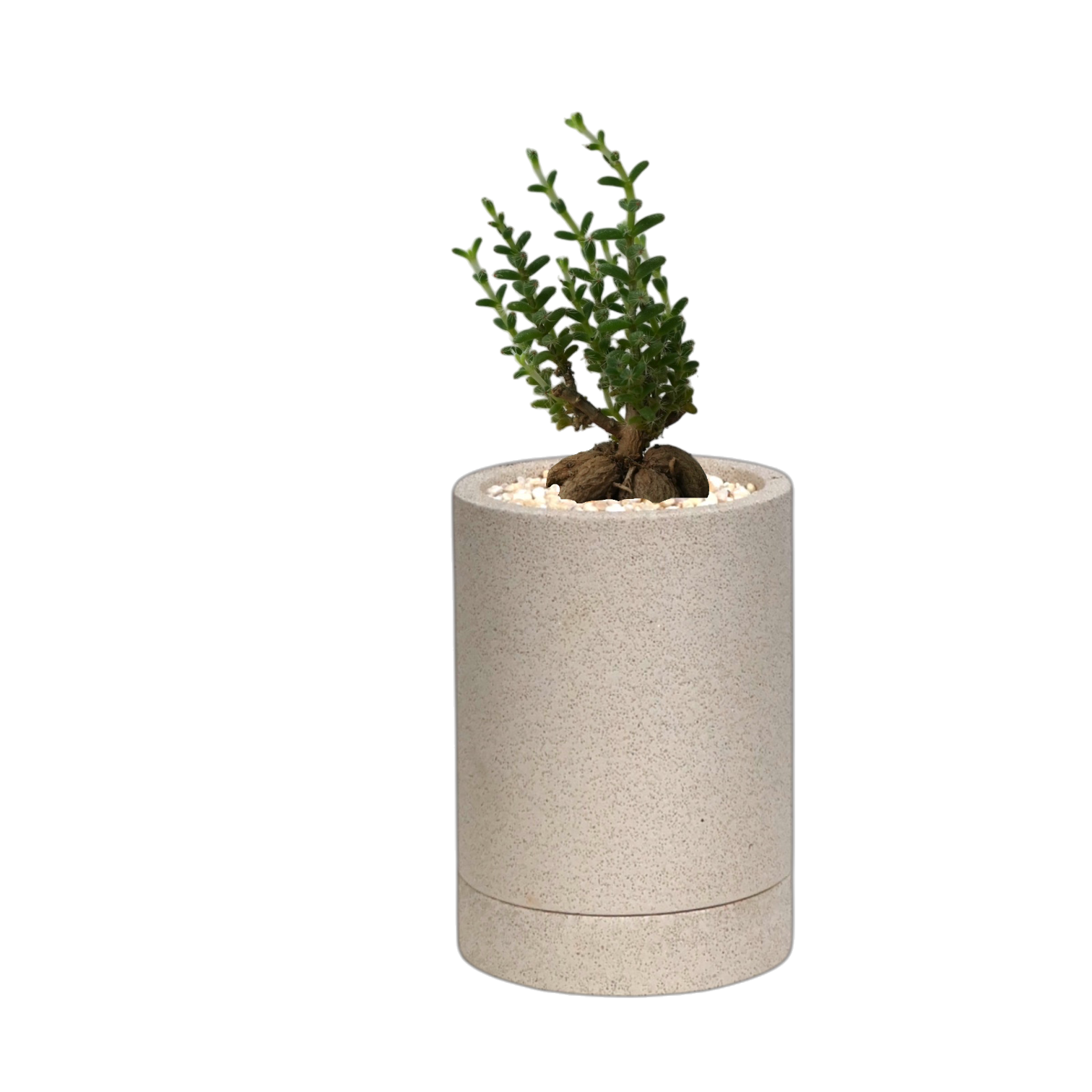 ENKEL Cylinder-Shaped Terrazzo Pot W8cm (Off-white)