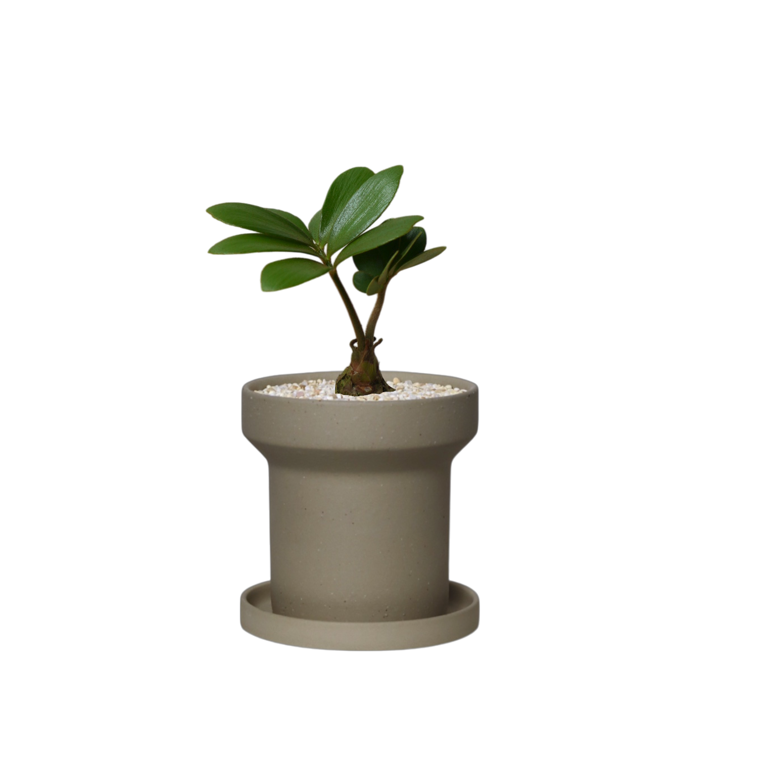 ZIMMU T-Shaped Ceramic Pot