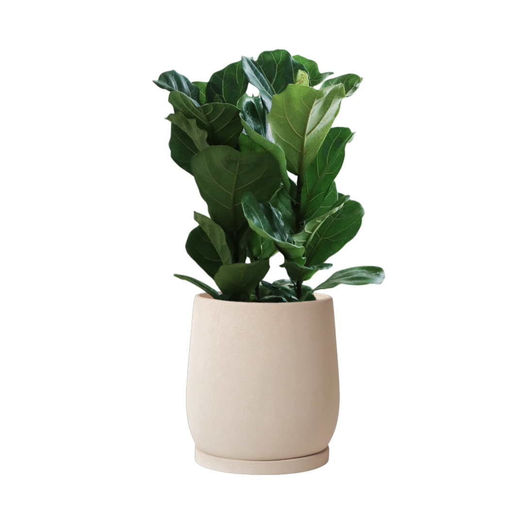 ENKEL Egg-Shaped Terrazzo Pot W28cm (Off-white)
