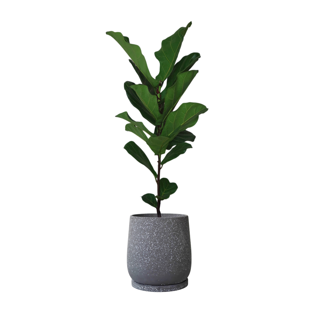 ENKEL Egg-Shaped Terrazzo Pot W28cm (Grey)