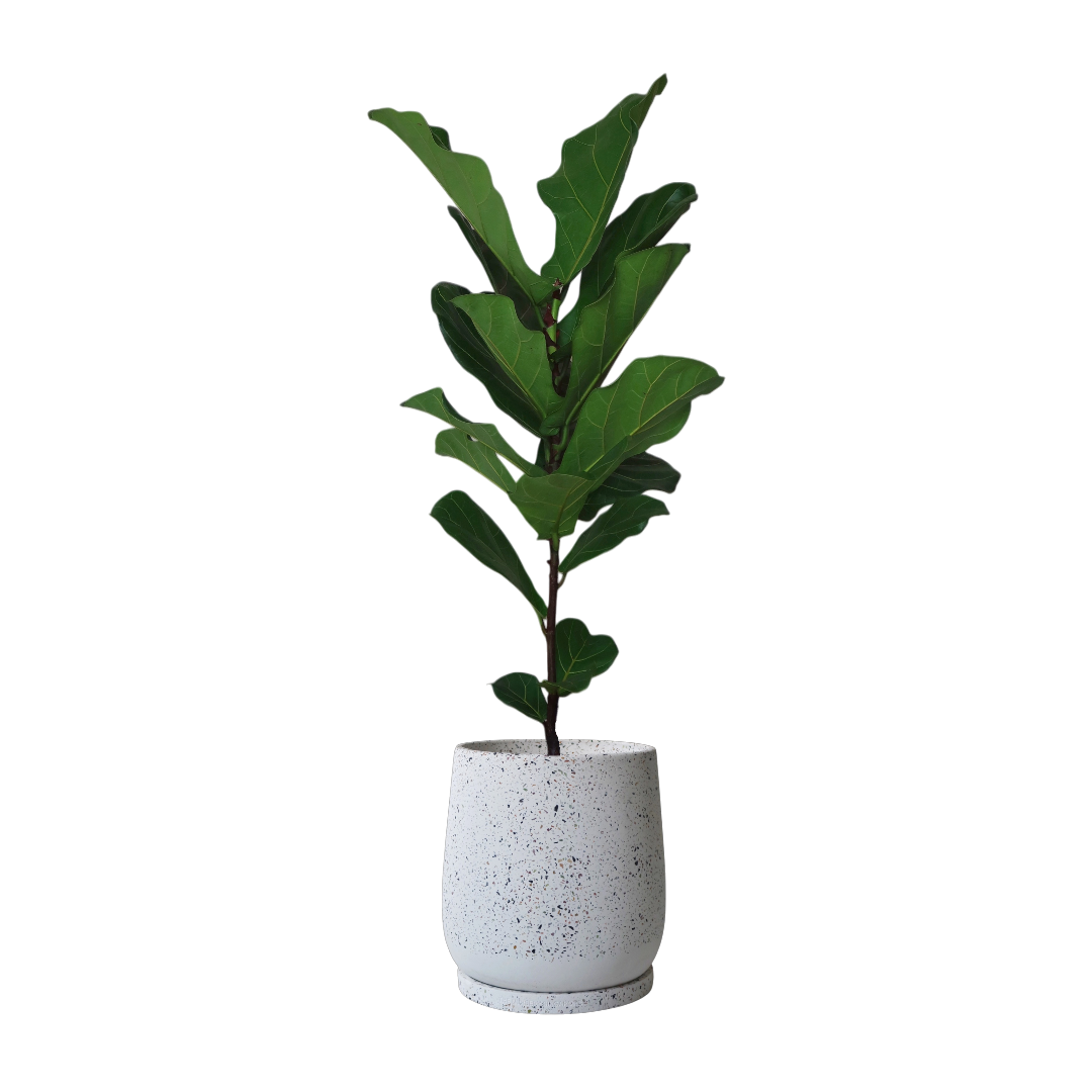 ENKEL Egg-Shaped Terrazzo Pot W28cm (White)