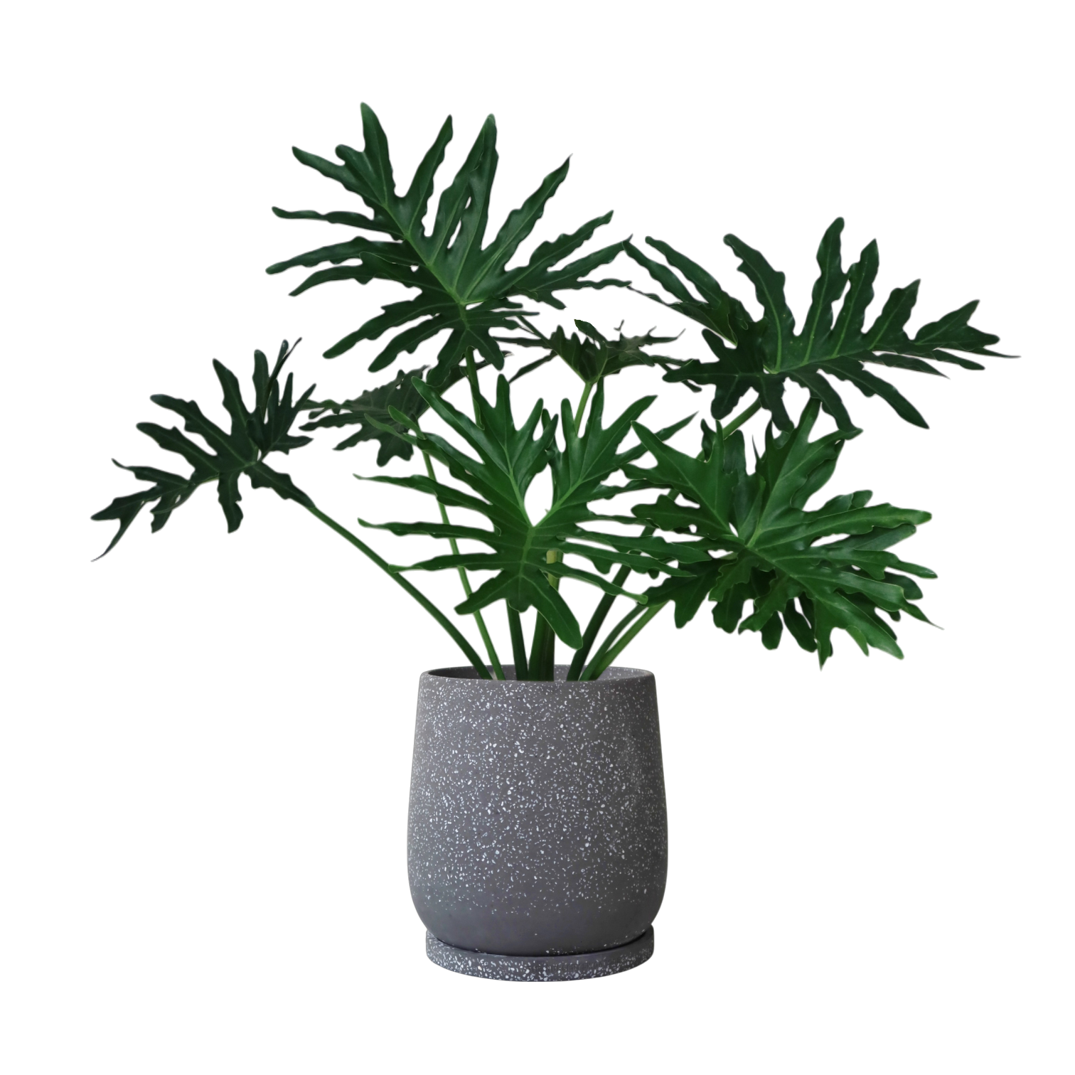 ENKEL Egg-Shaped Terrazzo Pot W28cm (Grey)
