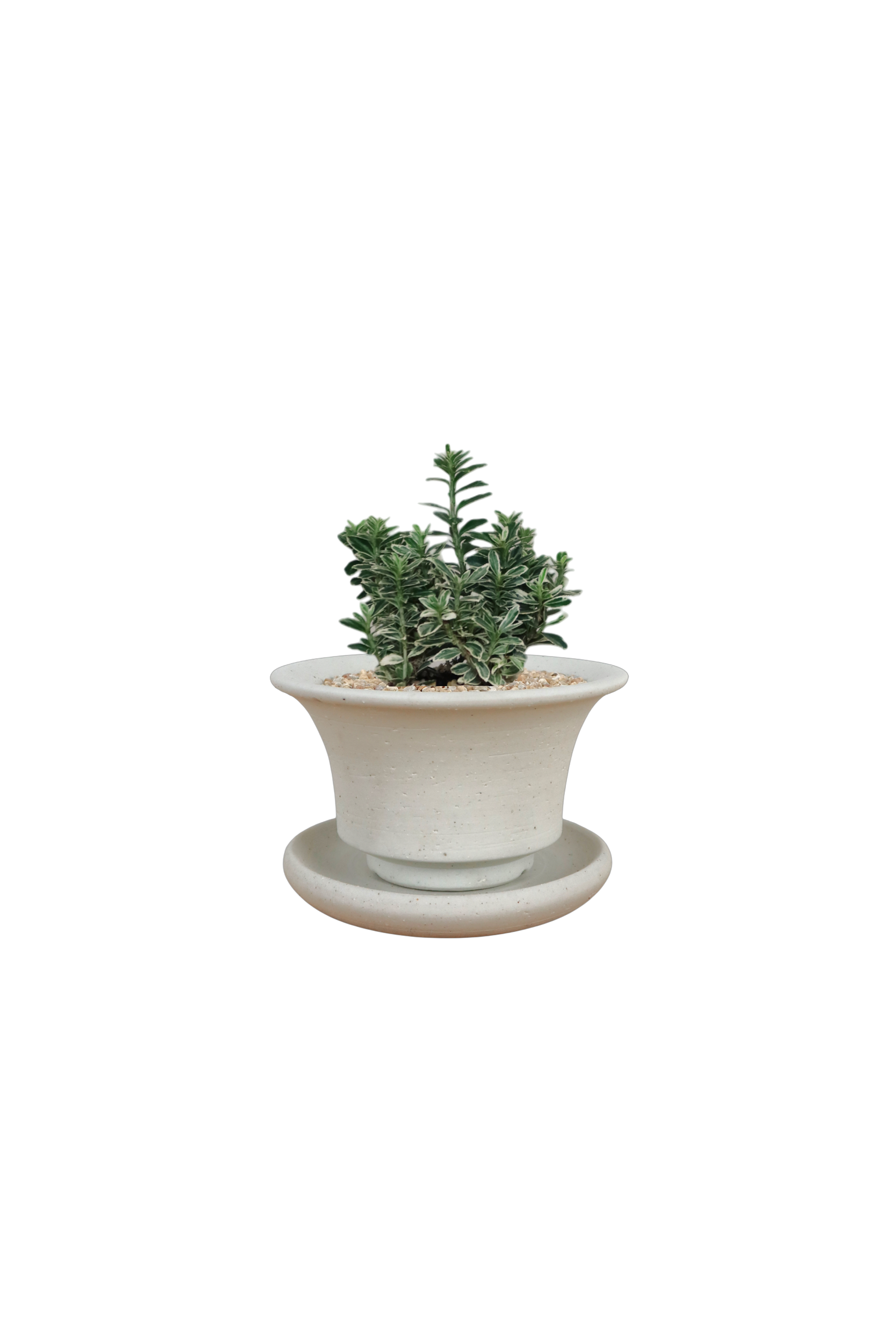 BRRUTO Curve Ceramic Pot