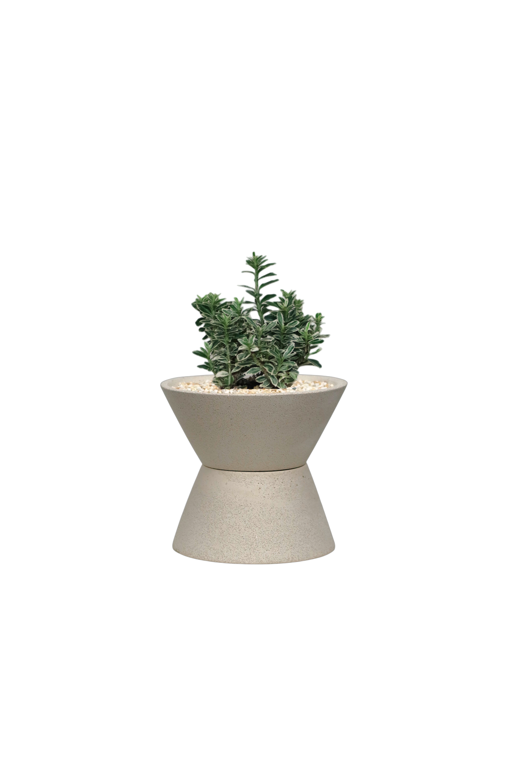 ENKEL V-Shaped Terrazzo Pot with Trapezium Saucer
