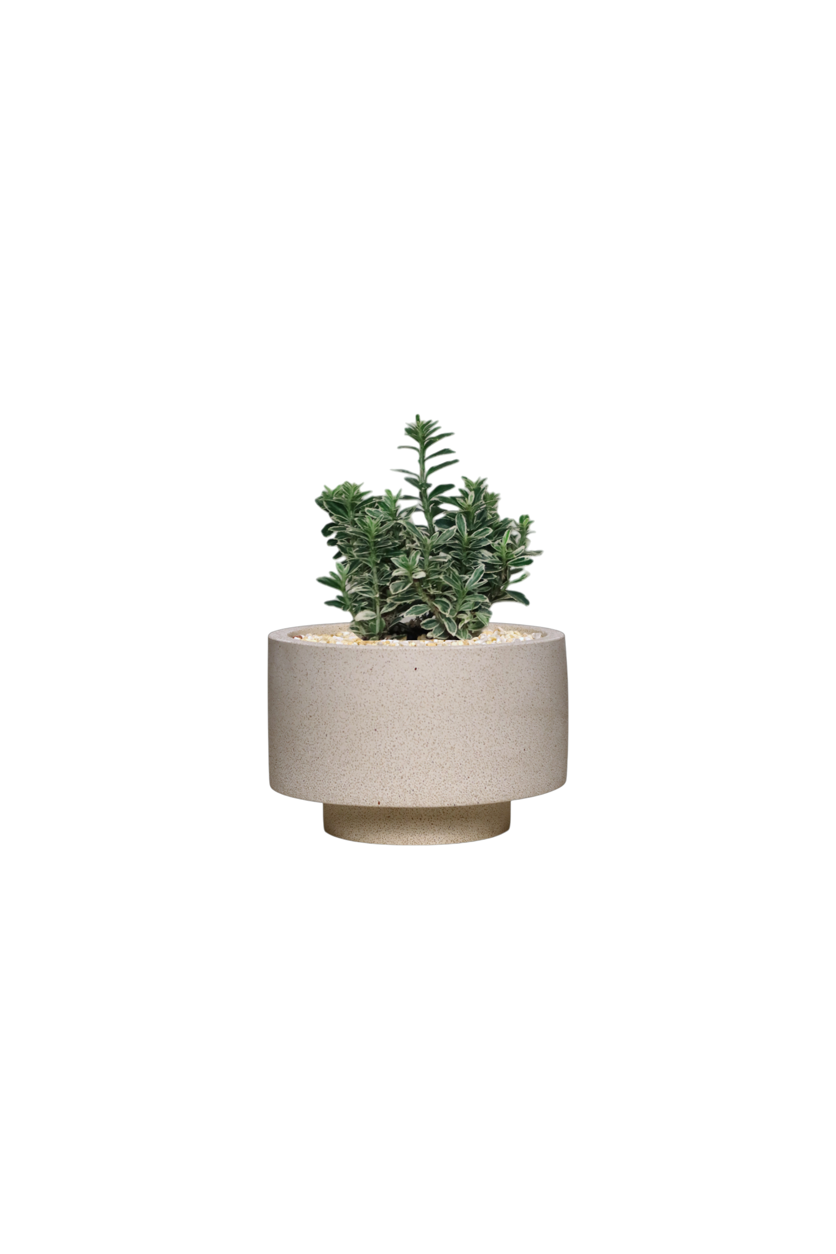 ENKEL Rectangular-Shaped Terrazzo Pot with Flat Saucer
