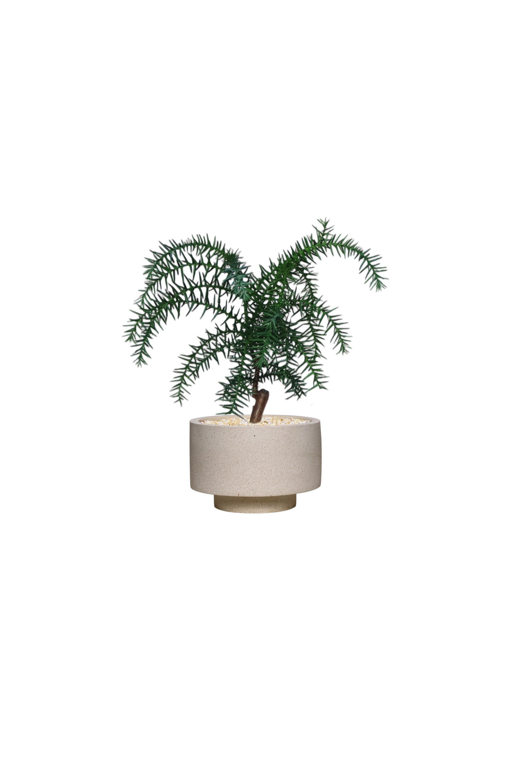 ENKEL Rectangular-Shaped Terrazzo Pot with Flat Saucer