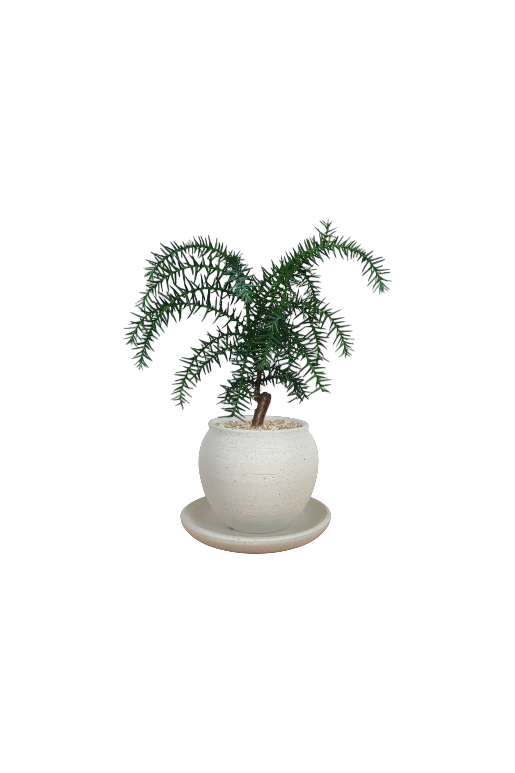 BRRUTO Jar Ceramic Pot
