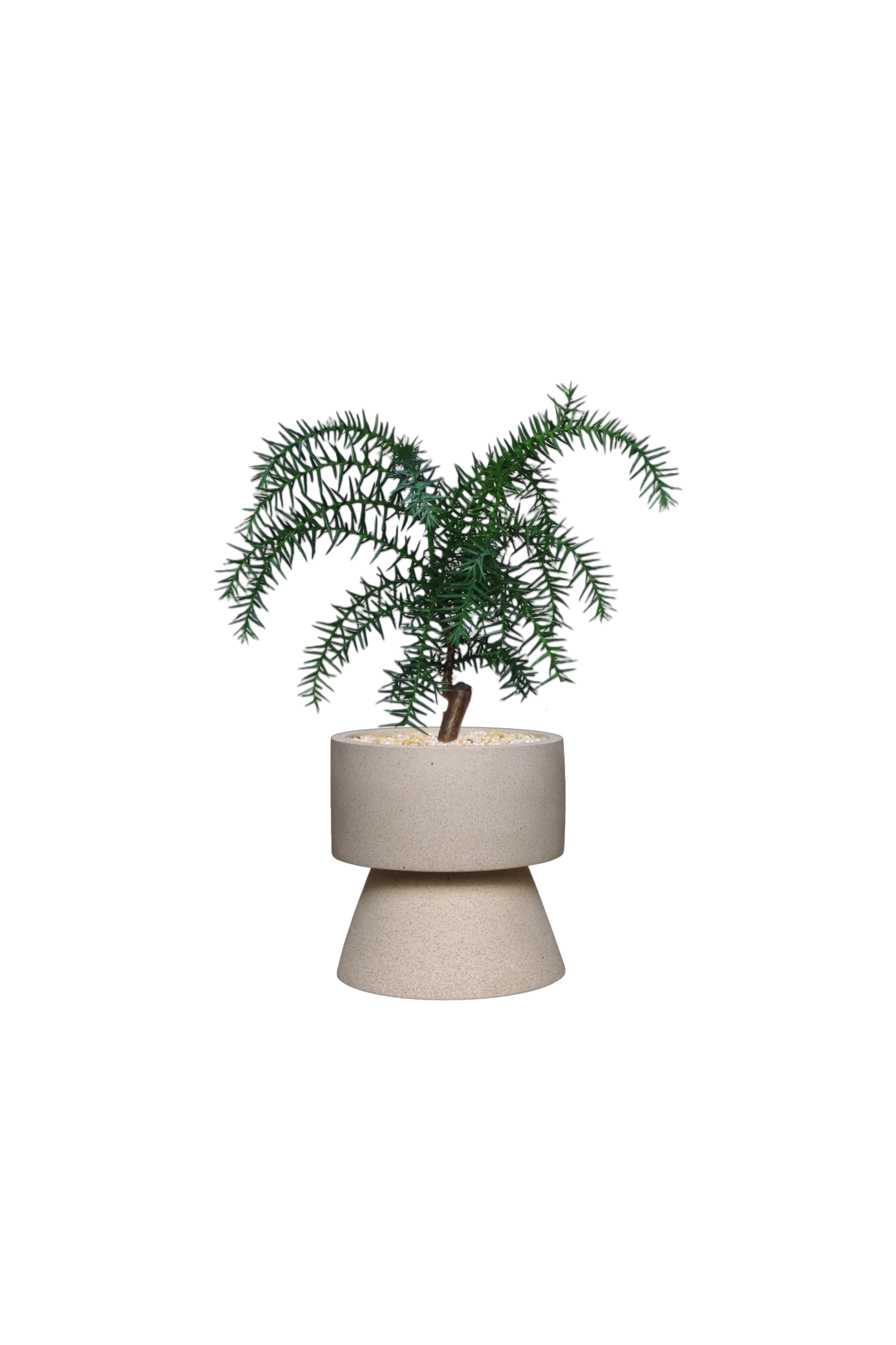 ENKEL Rectangular-Shaped Terrazzo Pot with Trapezium Saucer