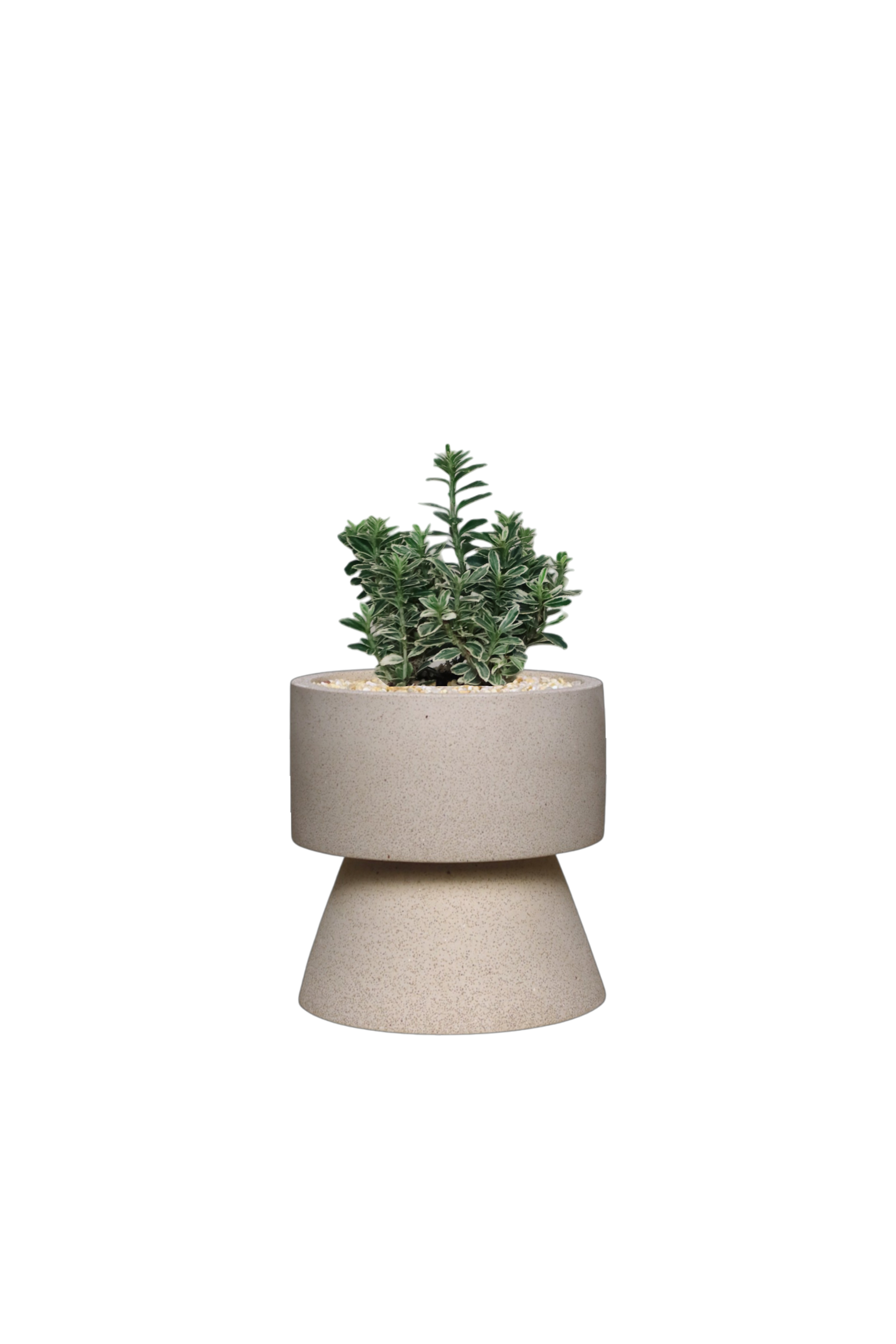 ENKEL Rectangular-Shaped Terrazzo Pot with Trapezium Saucer