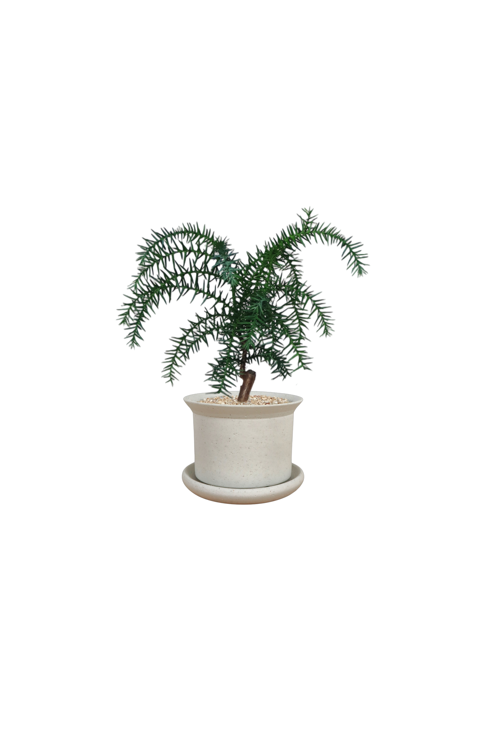 BRRUTO Y Ceramic Pot