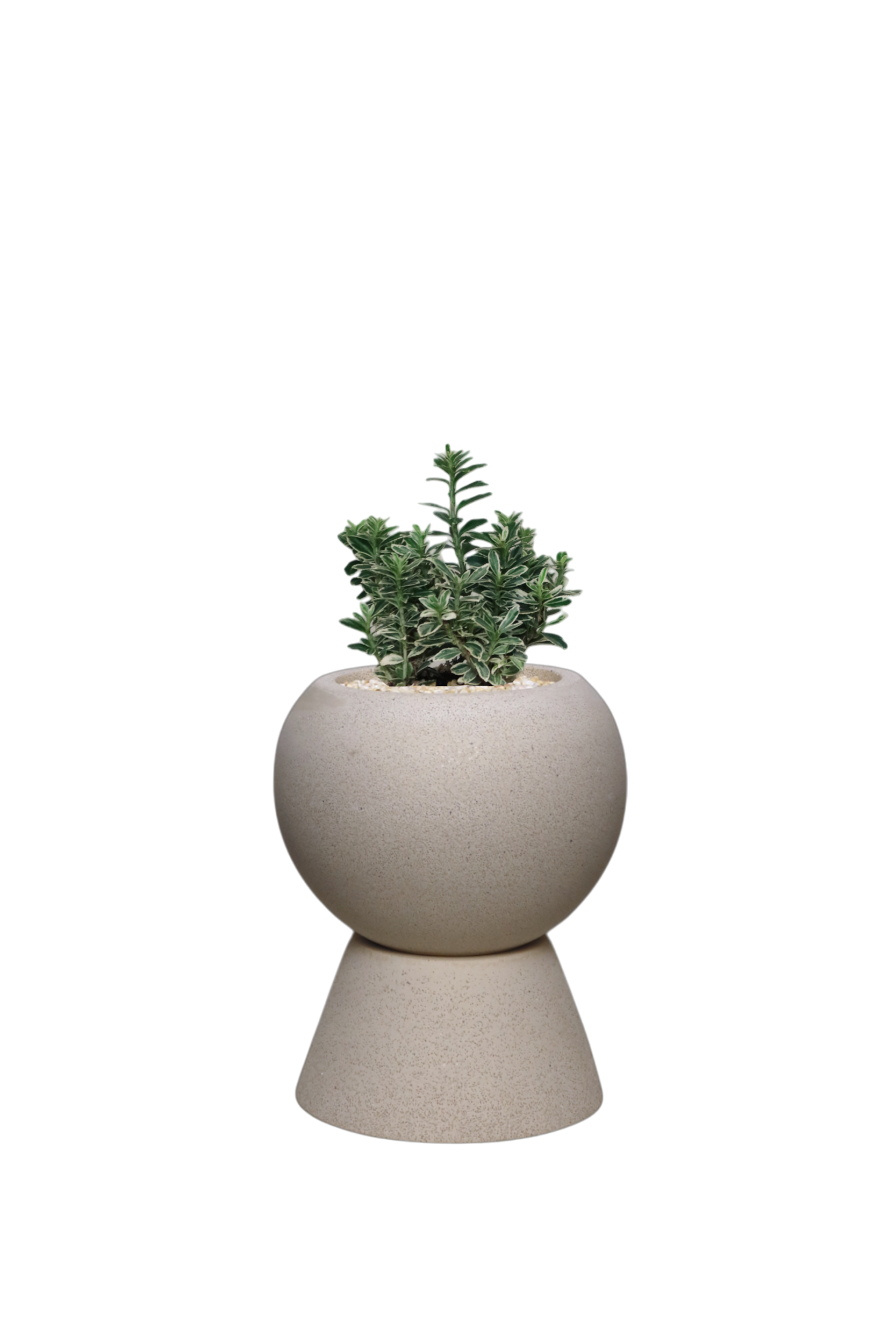 ENKEL Sphere-Shaped Terrazzo Pot with Trapezium Saucer