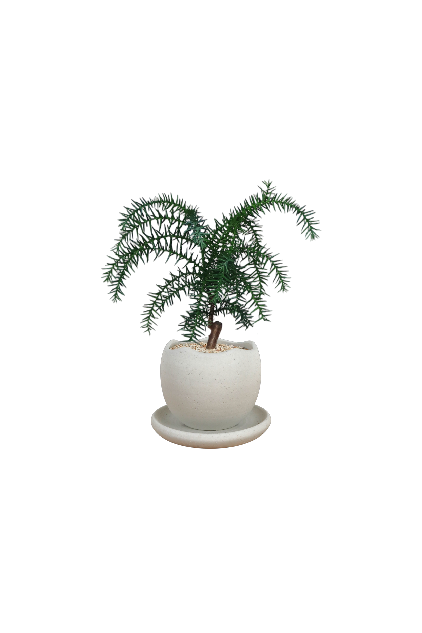 BRRUTO Wave Ceramic Pot