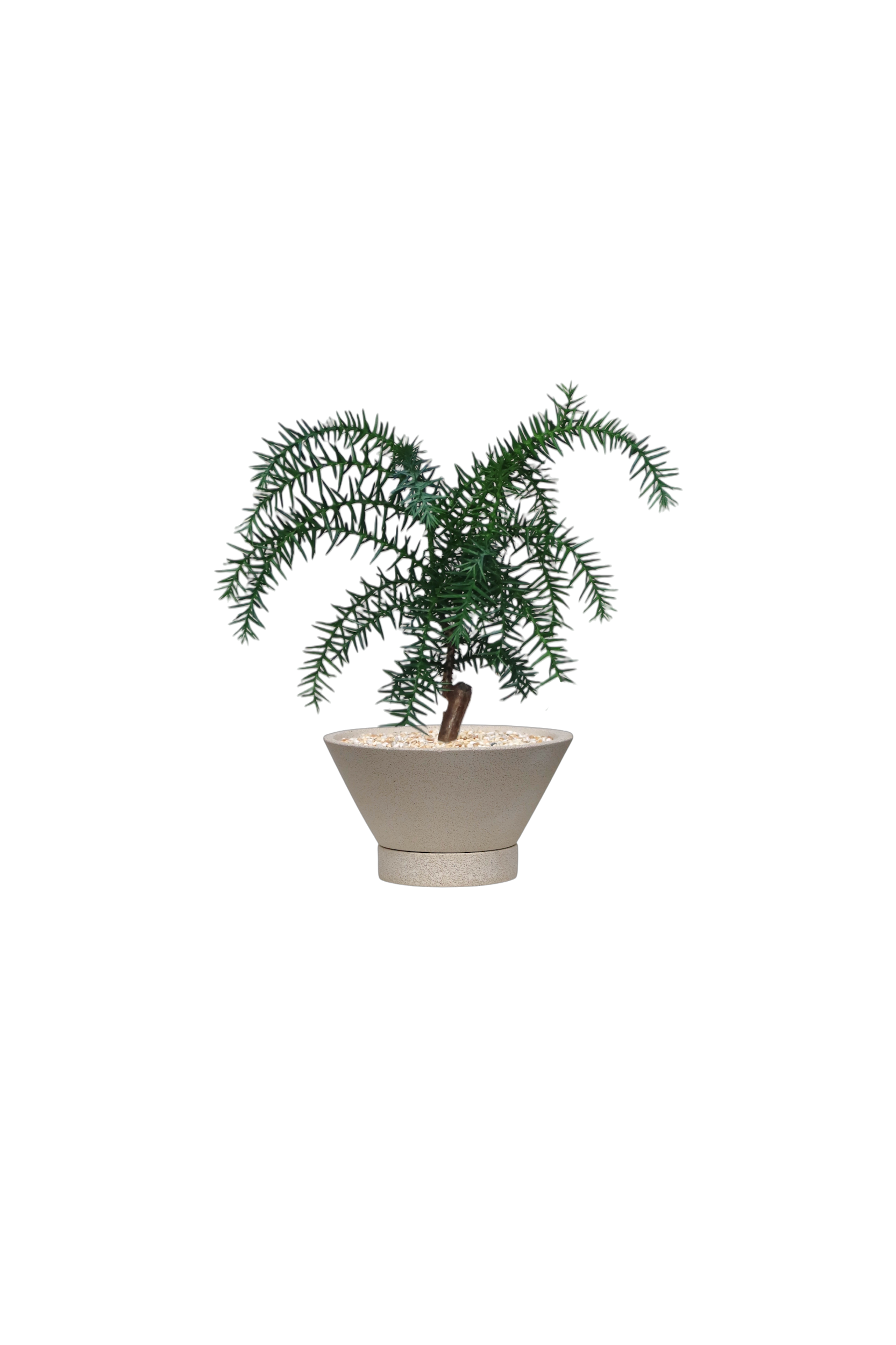 ENKEL V-Shaped Terrazzo Pot with Flat Saucer