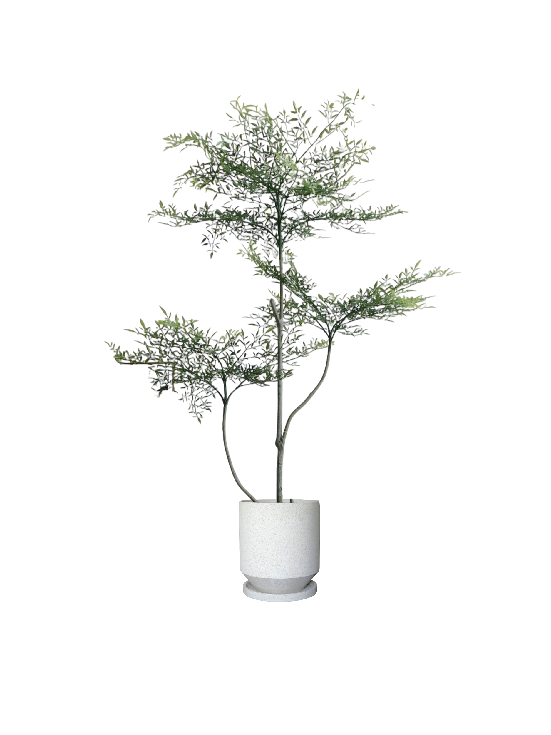 ENKEL Teacup-Shaped Terrazzo Pot W28cm (Off-white)