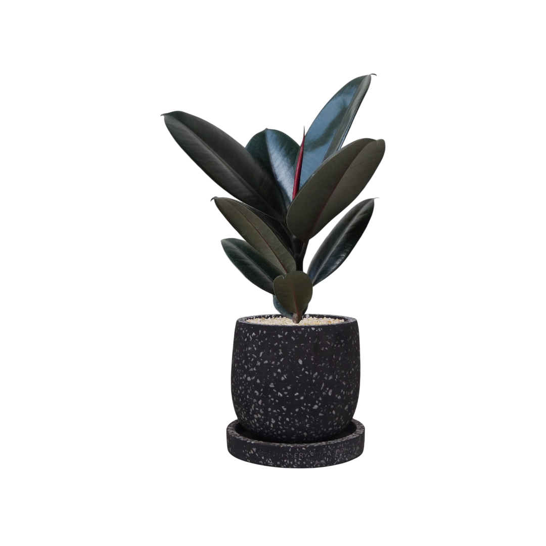 ENKEL Egg-Shaped Terrazzo Pot W14cm (Grey)