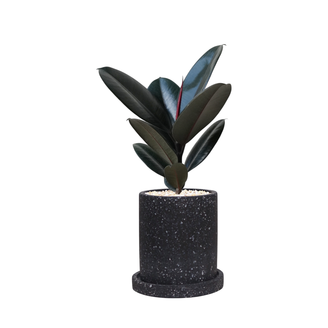 MOTT Terrazzo Pot  W15cm (Black)