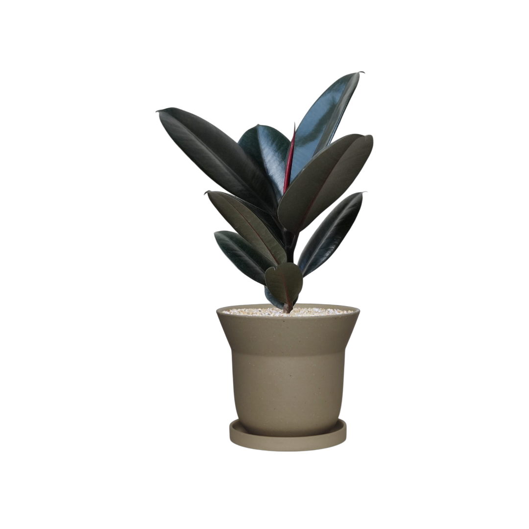 ZIMMU Bell-Shaped Ceramic Pot W15cm (Beige)