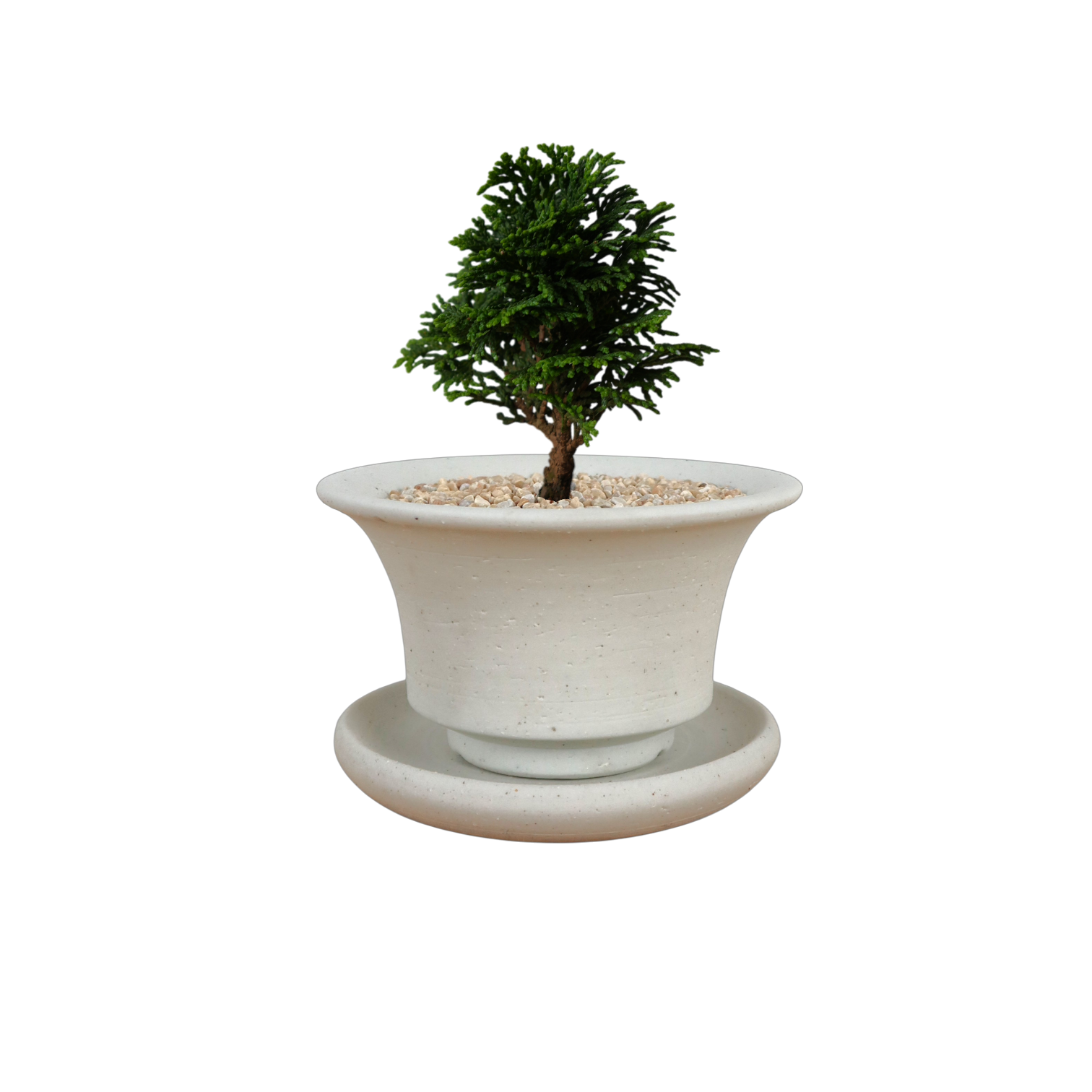 BRRUTO Curve Ceramic Pot