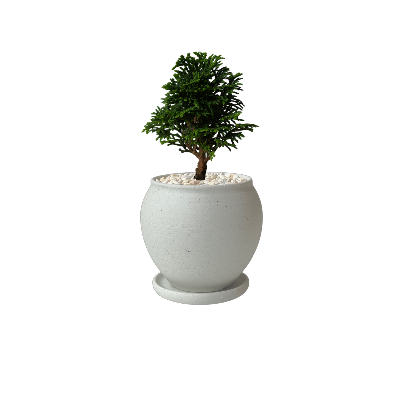 BRRUTO Jar Ceramic Pot