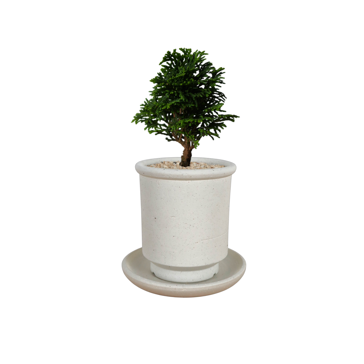 BRRUTO Tall Ceramic Pot