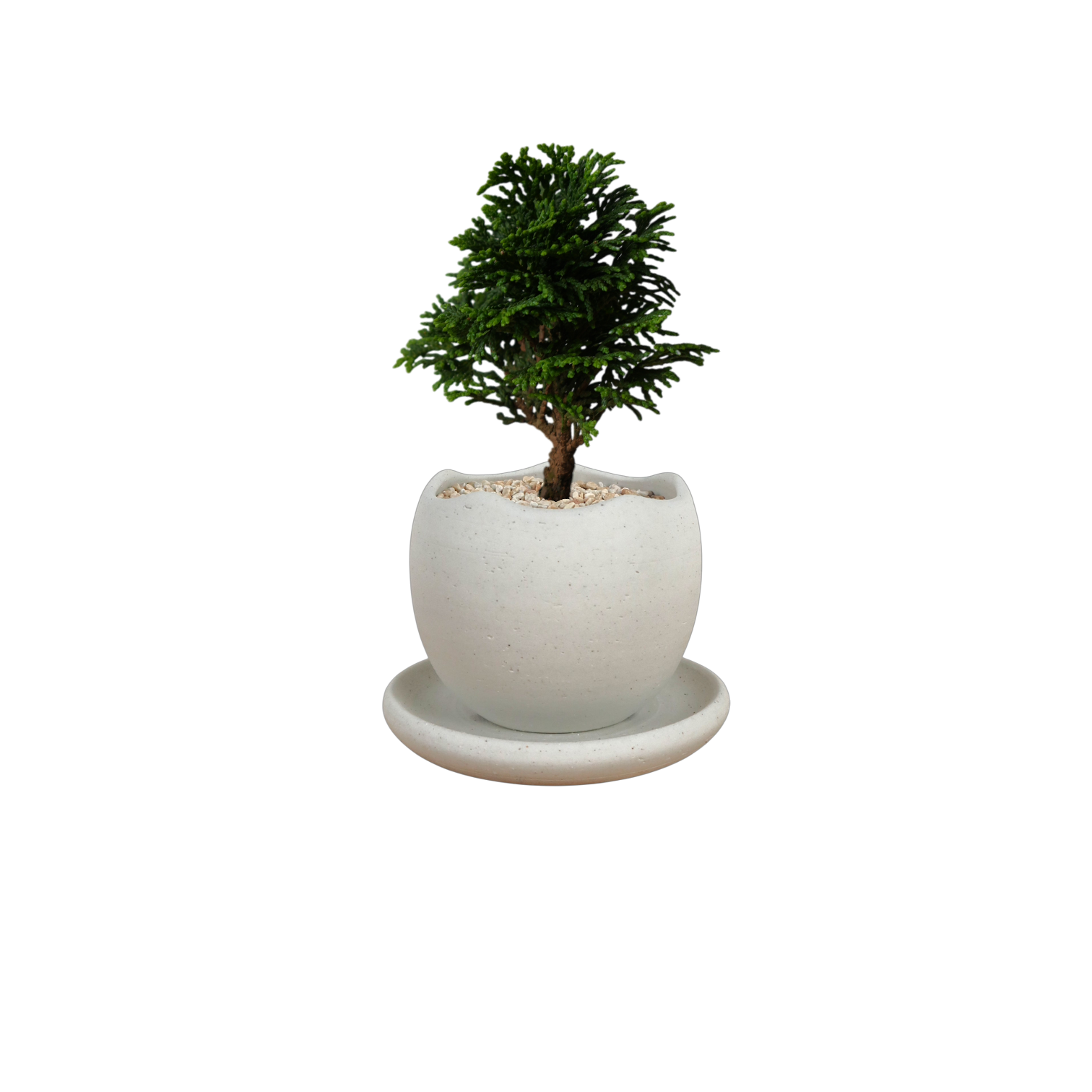 BRRUTO Wave Ceramic Pot